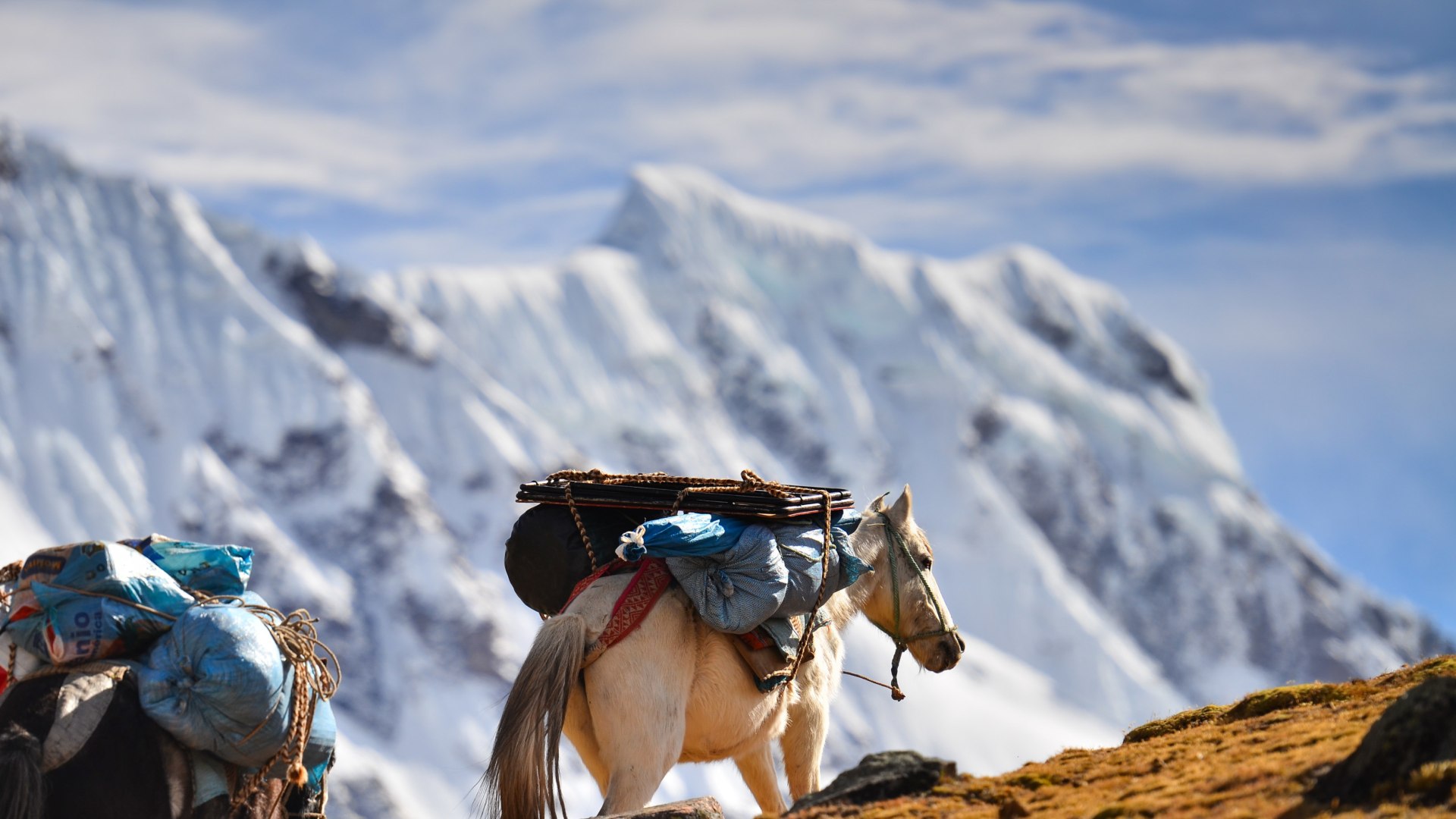 Auf einsamen Pfaden von Peru nach Bolivien