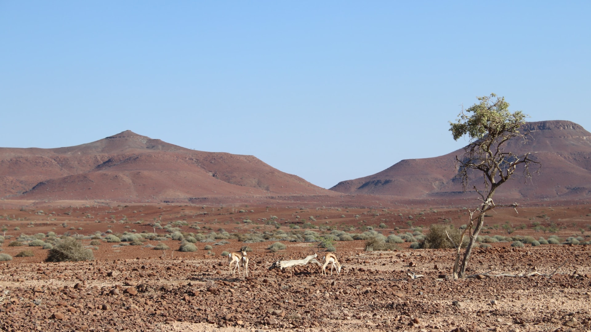 Dachzeltcamping in Namibia - weniger ist mehr