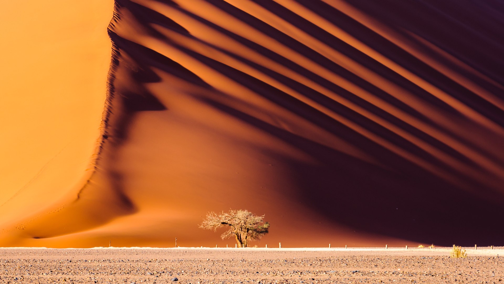 Namibia Selbstfahrertour für die gesamte Familie
