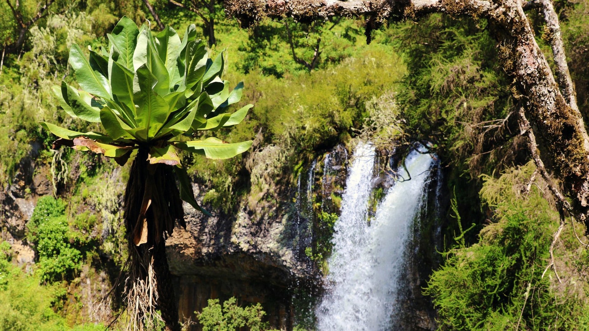 Wasserfall Kenia