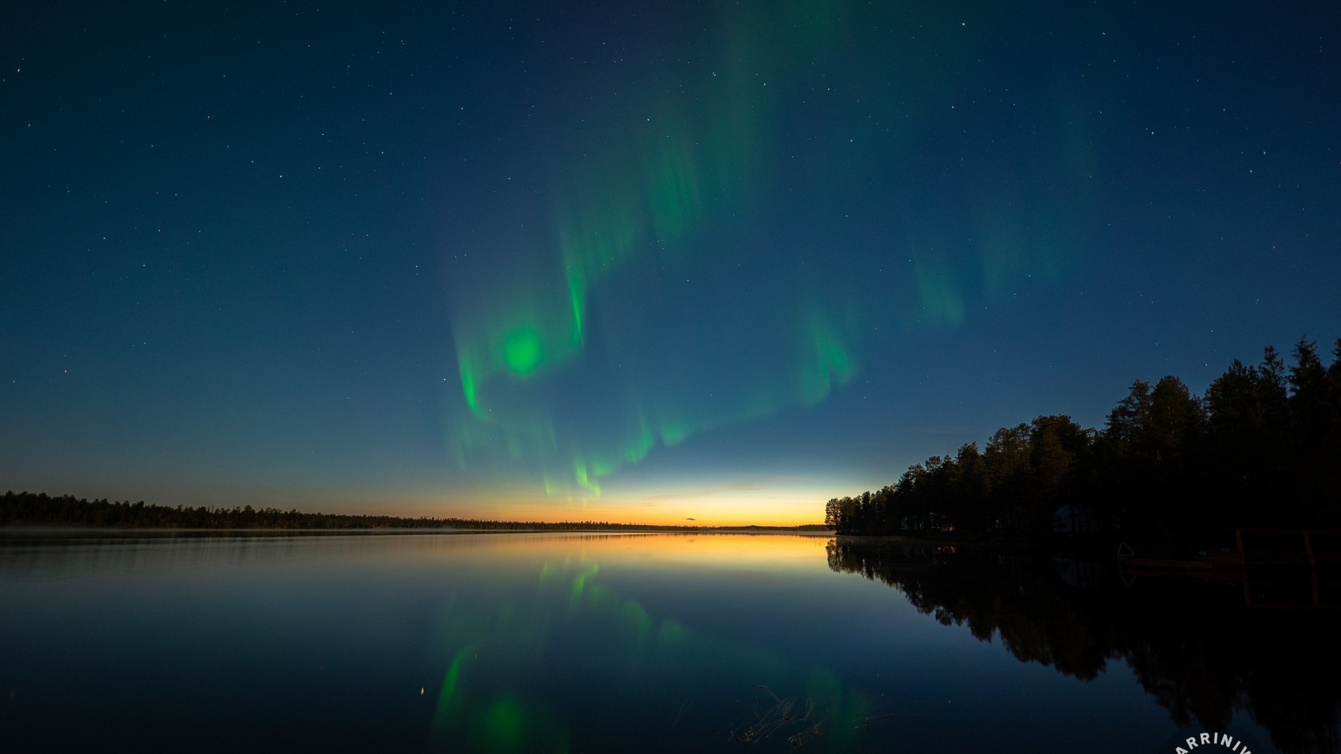 Lichterjagd im Herbstwald