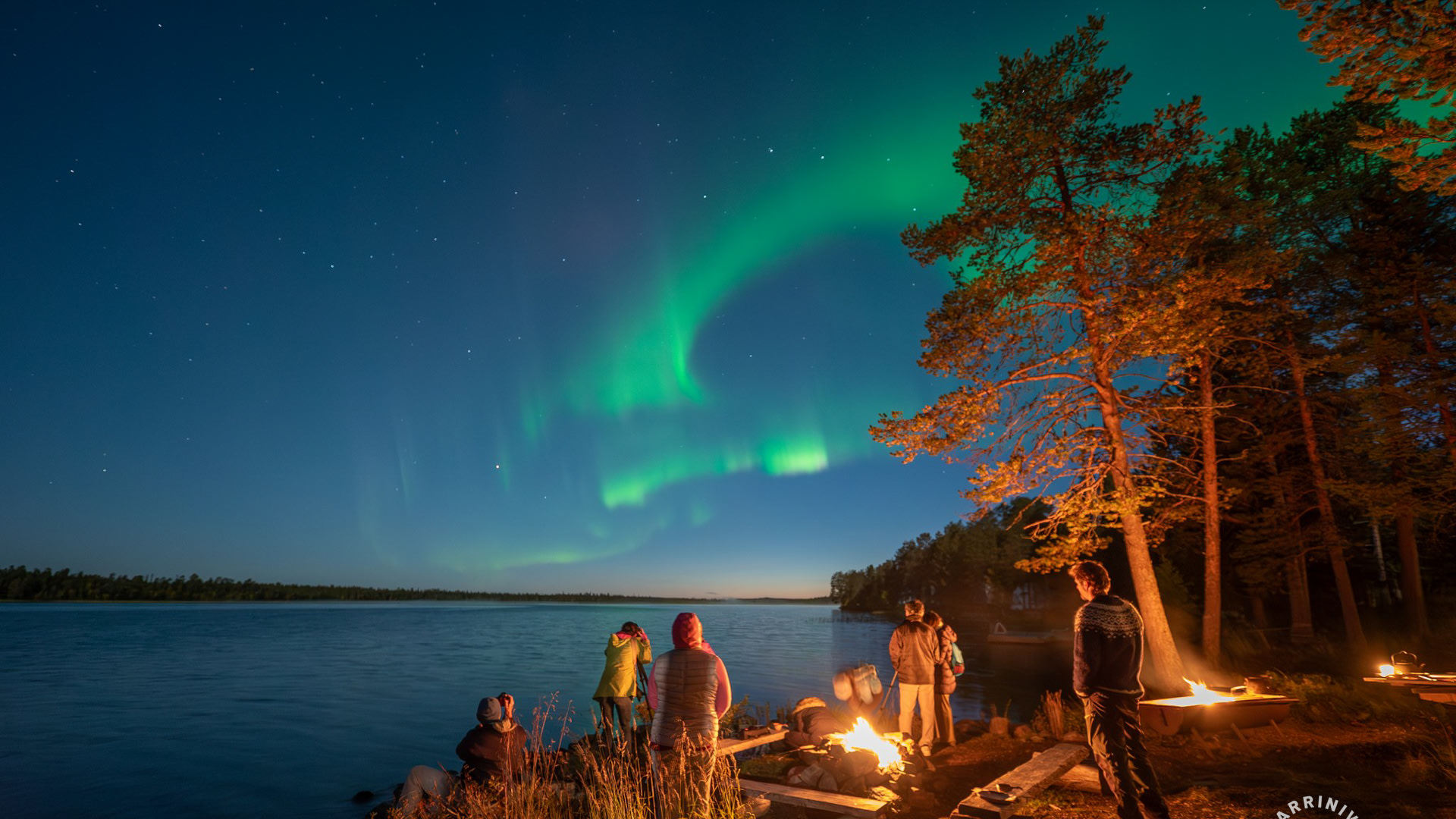Lichterjagd im Herbstwald