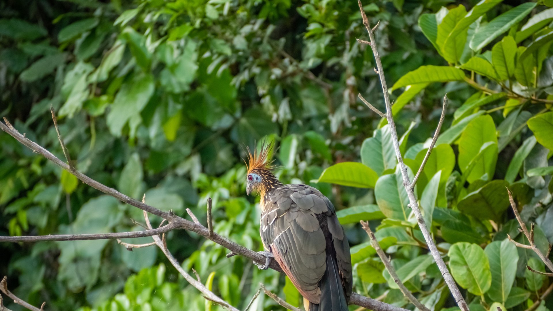 Ecuador - kleines Land, große Vielfalt