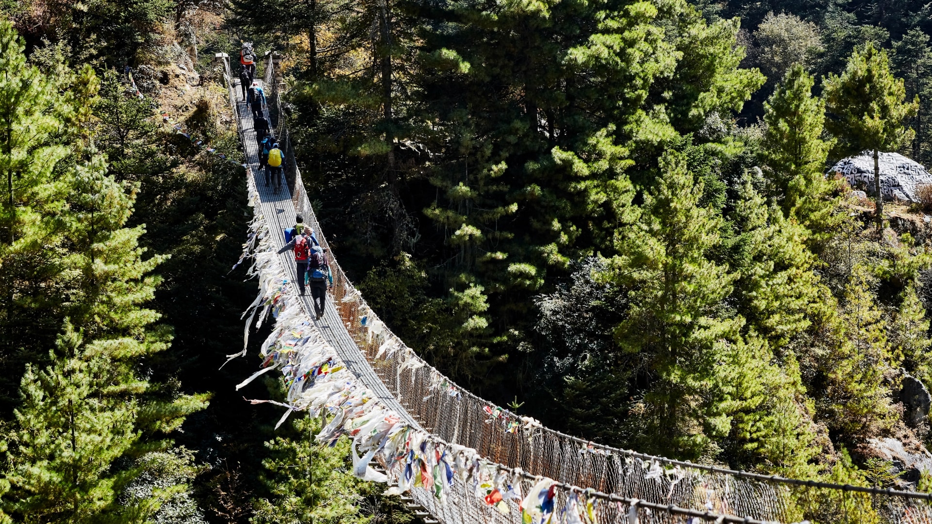 Mount Everest Trek & Island Peak