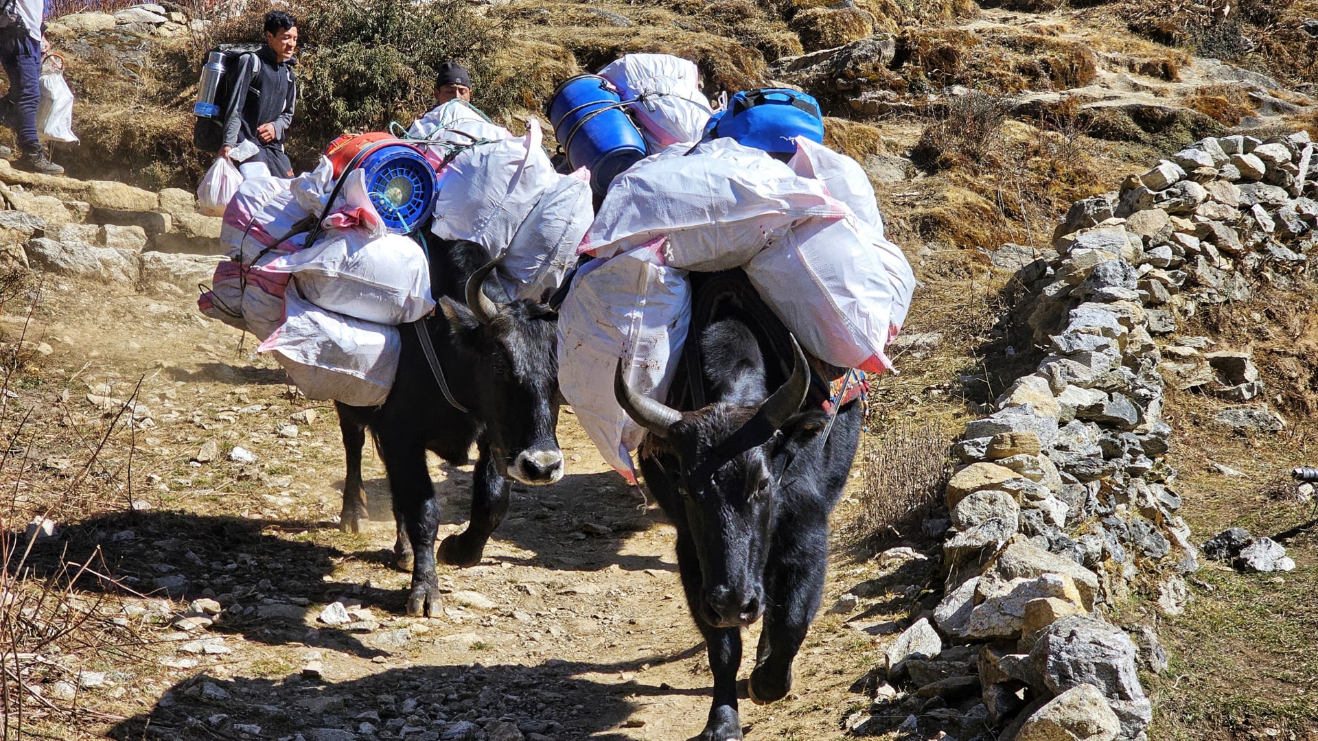 Vom Gokyo-Tal bis zum Island Peak