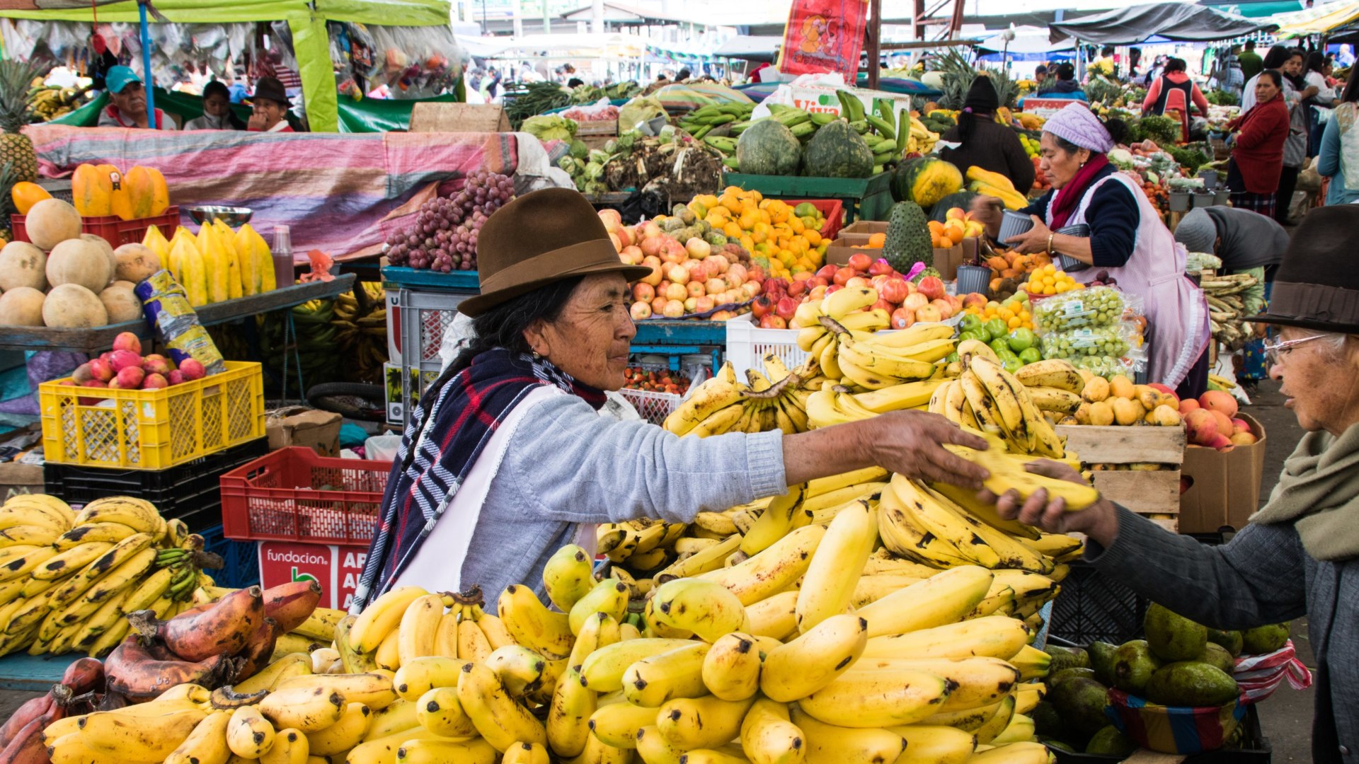 Gipfelhopping in Ecuador