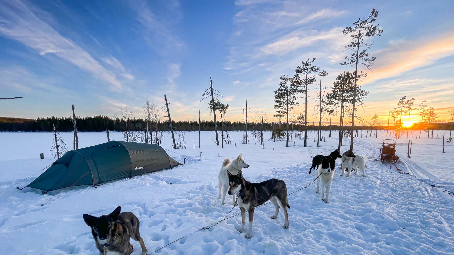 Der Tag beginnt in der Wildnis