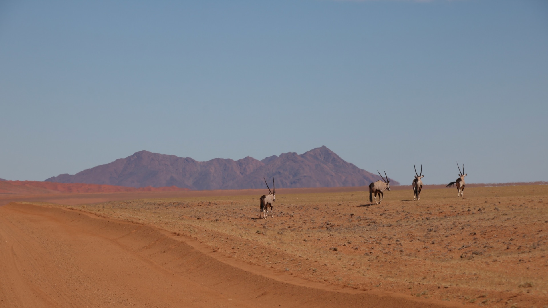 Namibia Querbeet Rundreise