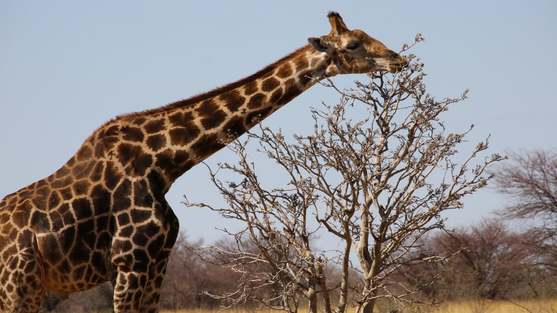 Namibia Querbeet Rundreise