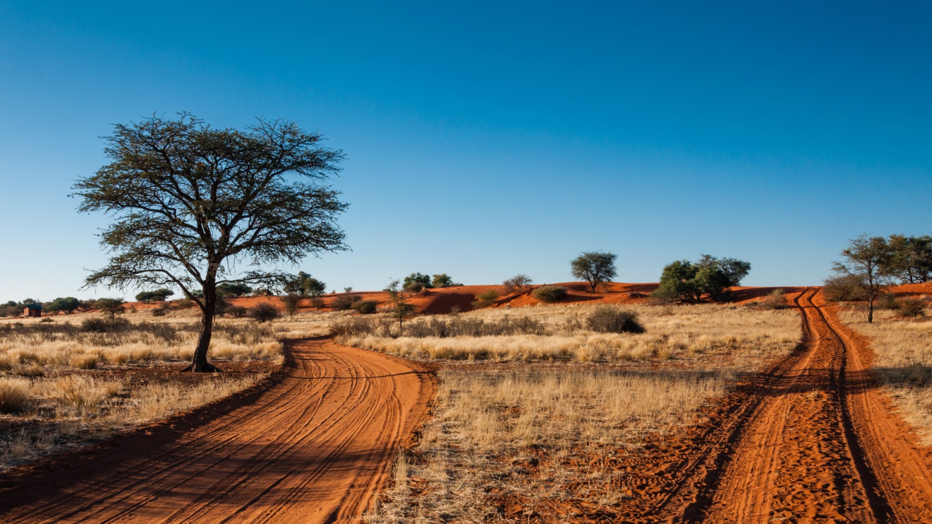 Namibias Naturwunder bis zu den Viktoriafällen