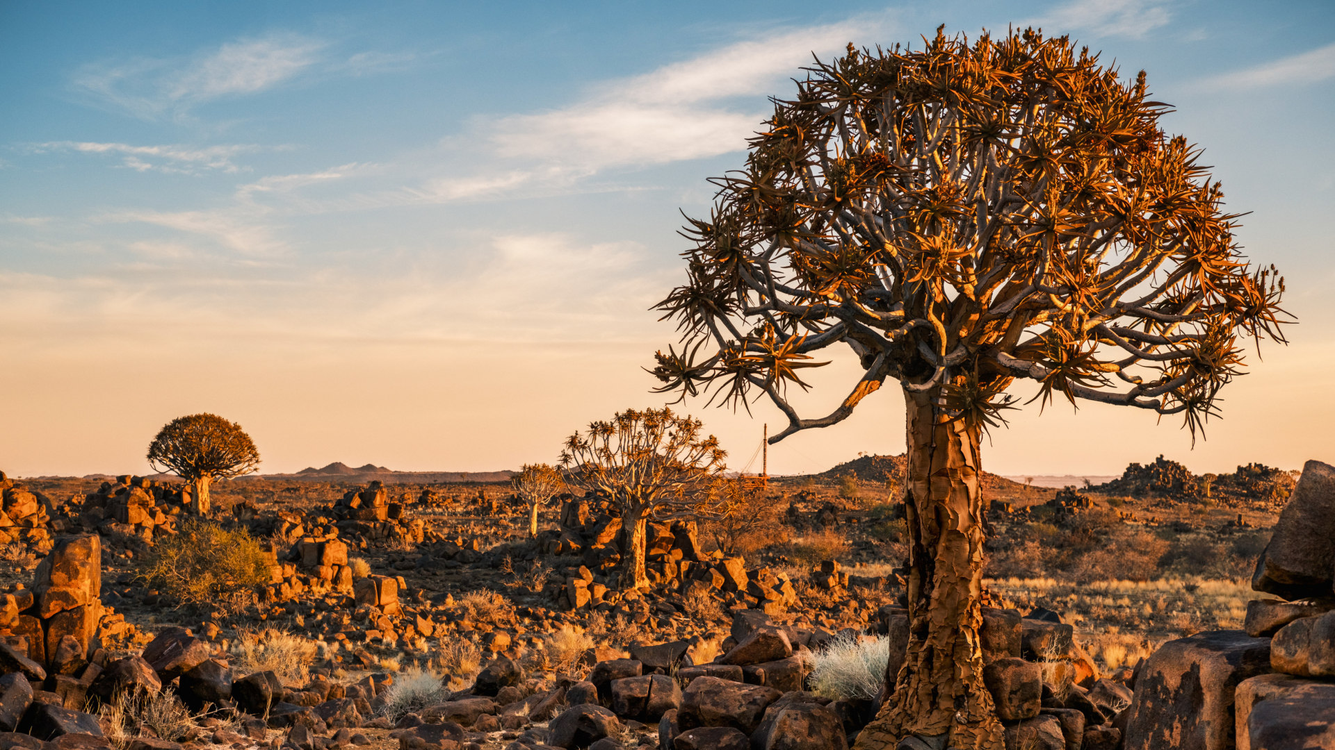 Roadtrip im Süd-Westen Namibias