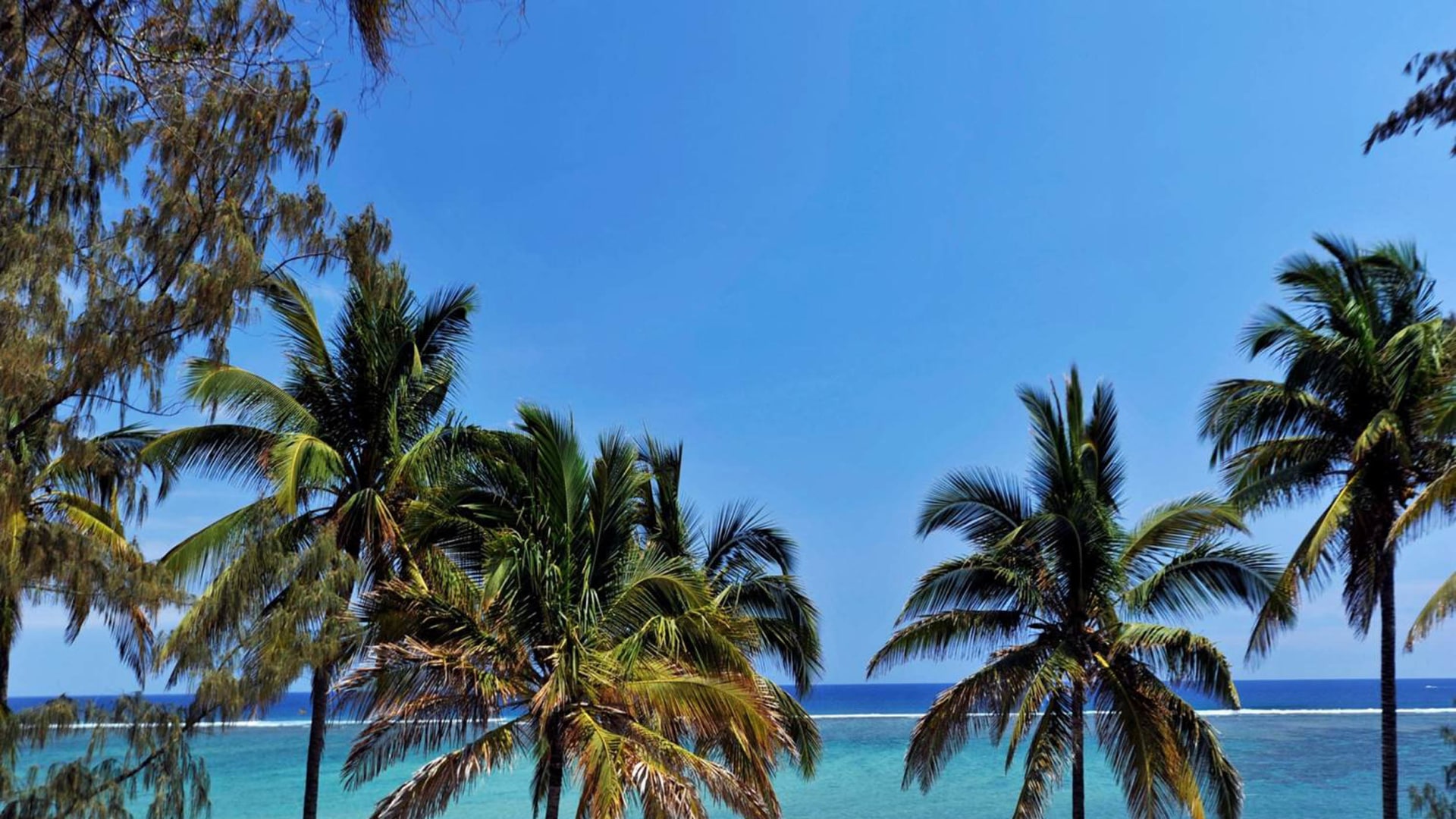 Gruppenreise auf La Réunion und Baden auf Mauritius 