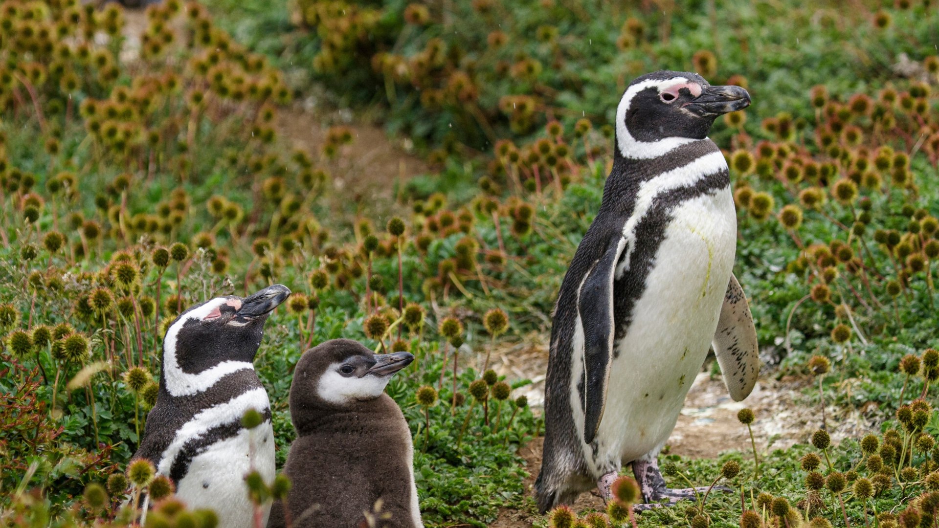 Trekkingabenteuer im Land der Extreme