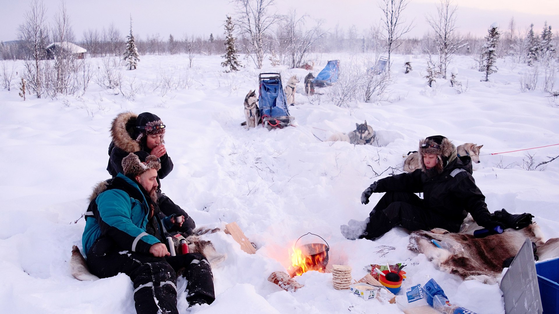 Huskyspuren im Reisa-Tal