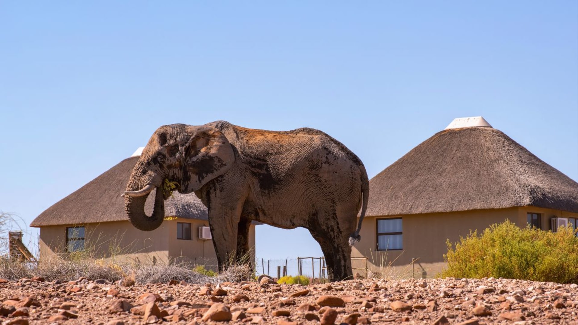 Faszination Namibia - die Highlights mit dem Mietwagen entdecken