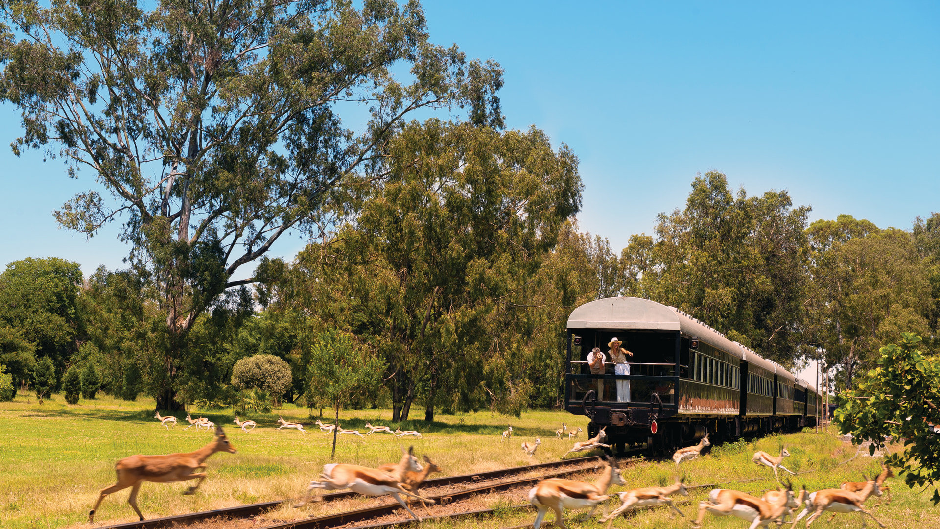 Rovos Rail Südafrika