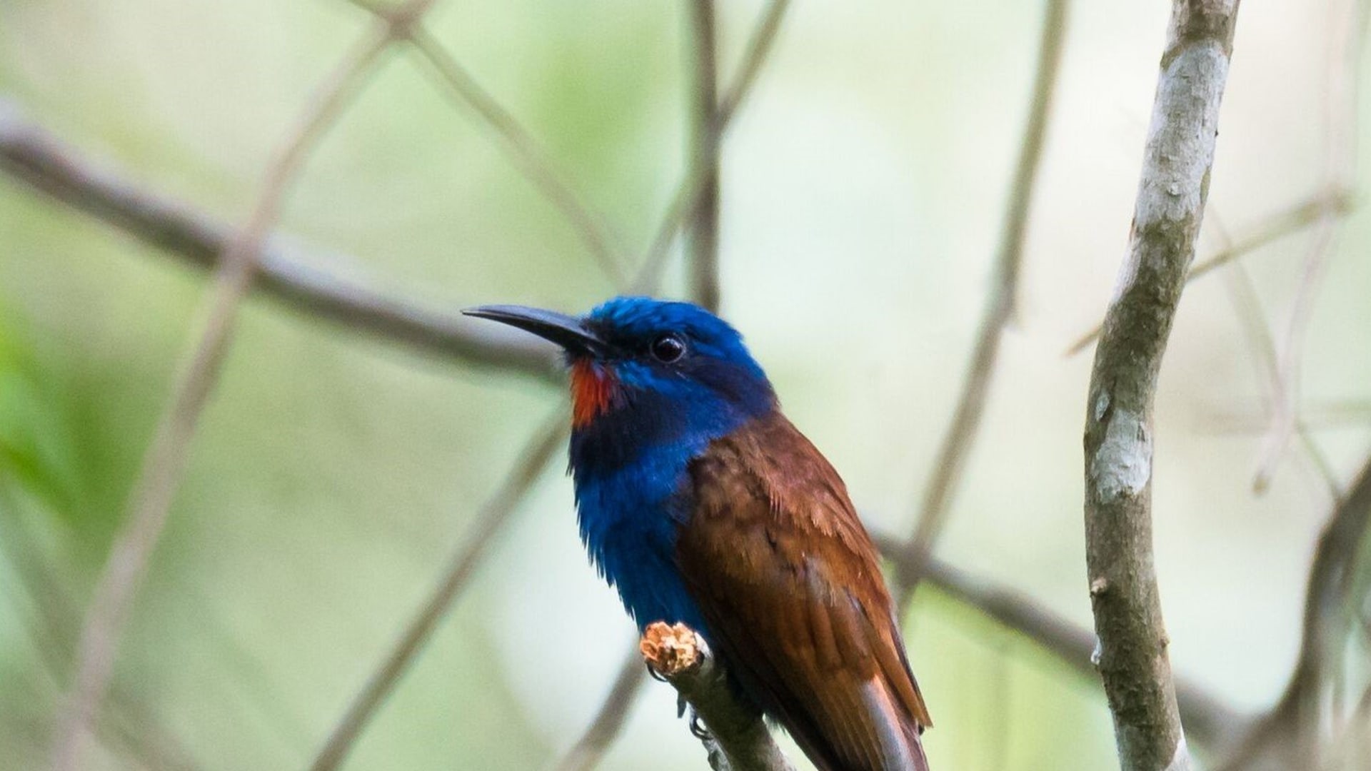 Große Ghana Rundreise