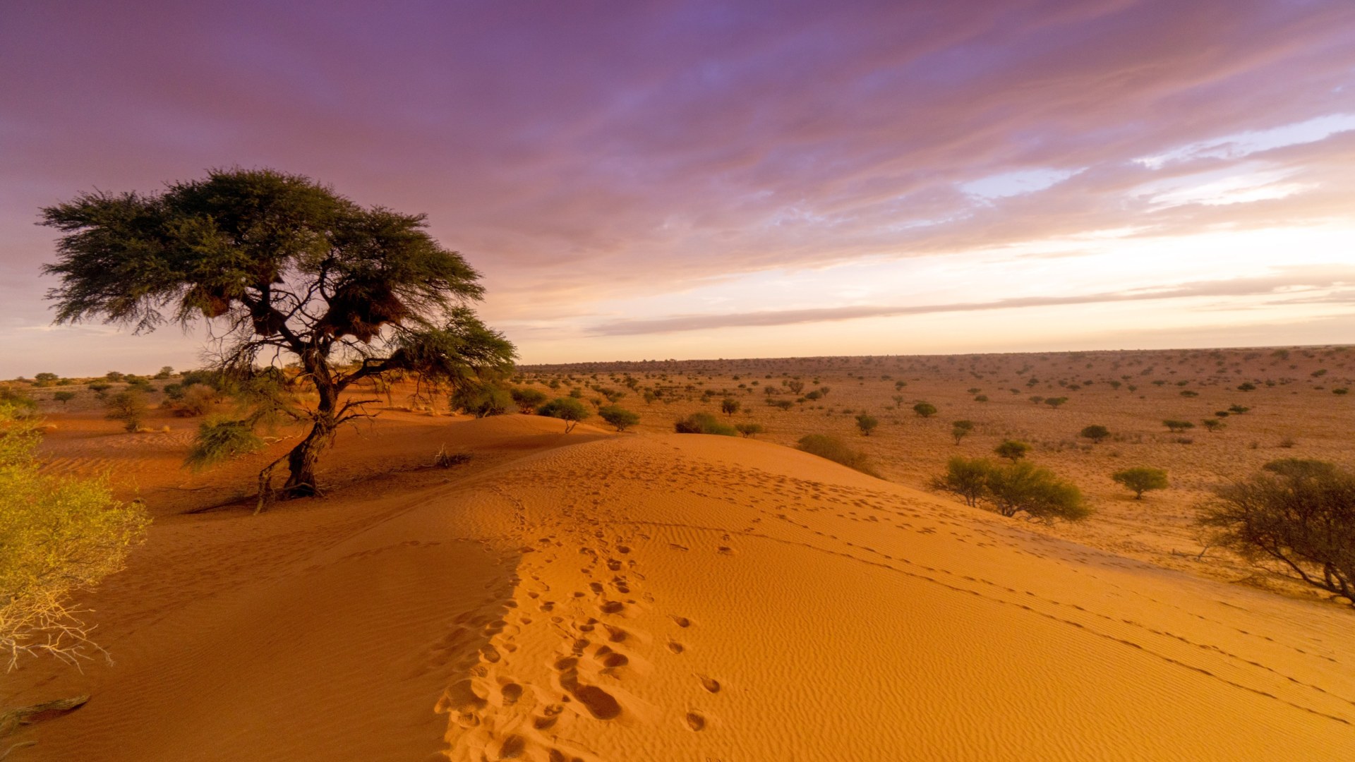 Roadtrip im Süd-Westen Namibias