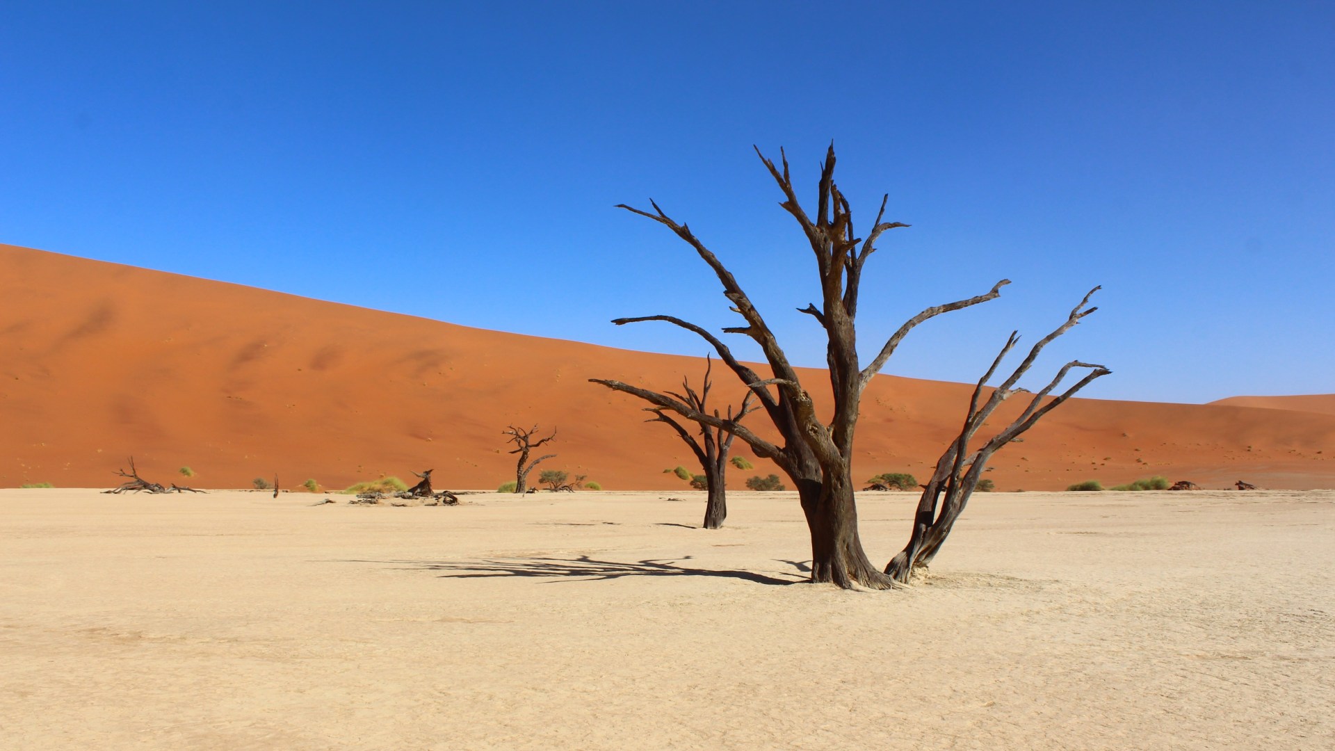 Dachzeltcamping in Namibia - weniger ist mehr