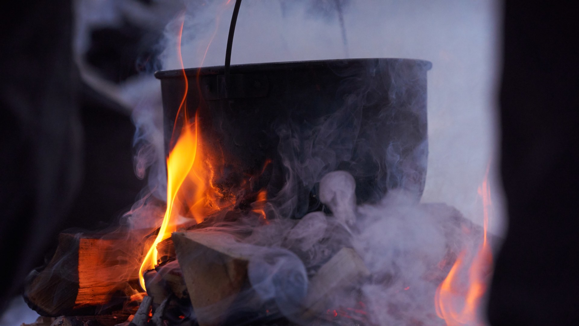 Huskyspuren im Reisa-Tal