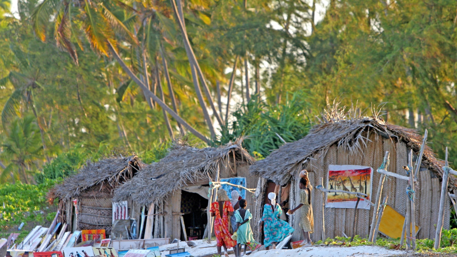 Schimpansen am Tanganjikasee & Rote Colobusaffen auf Sansibar