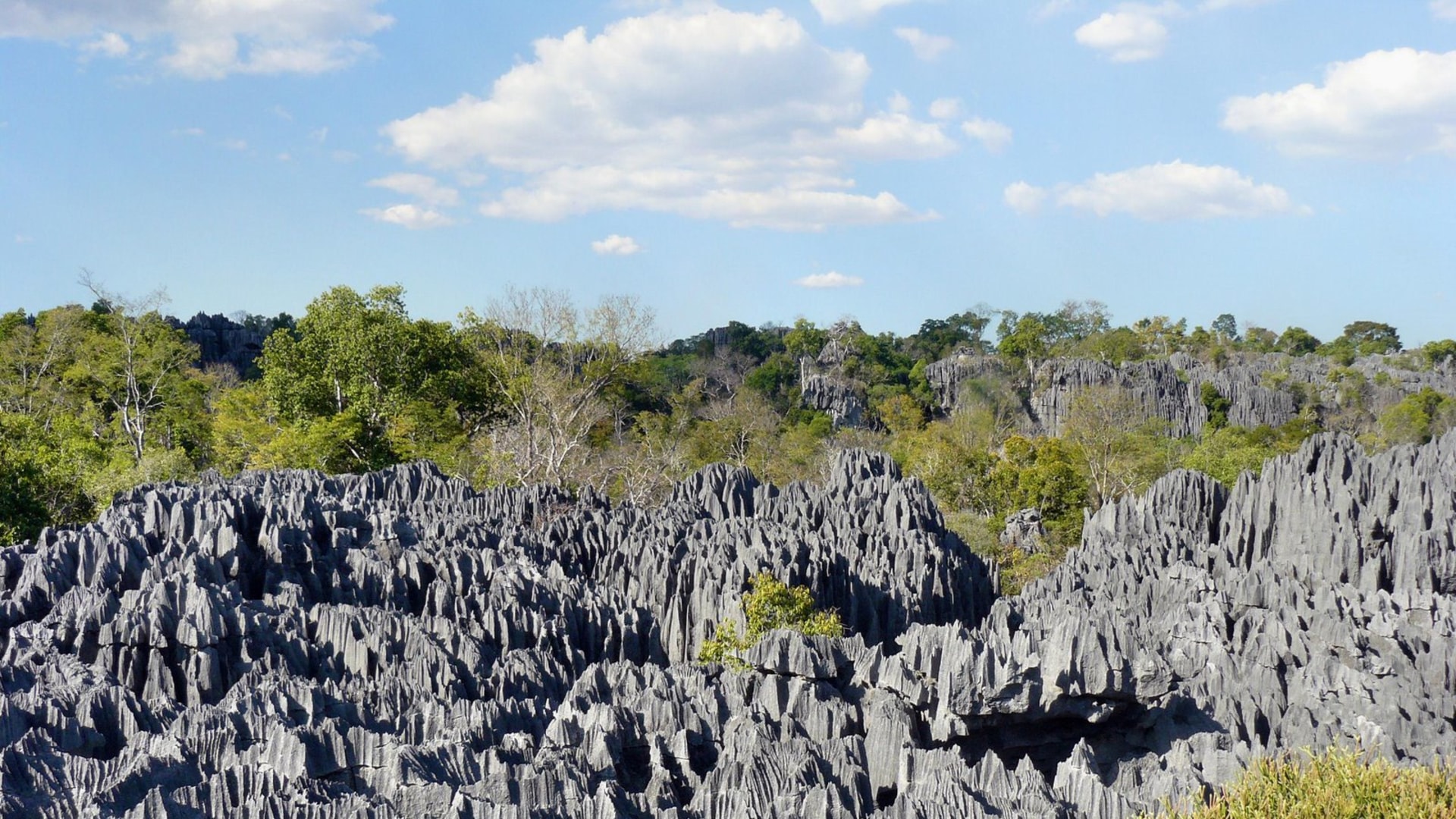 Tsingys, Landschaft auf Madagaskar