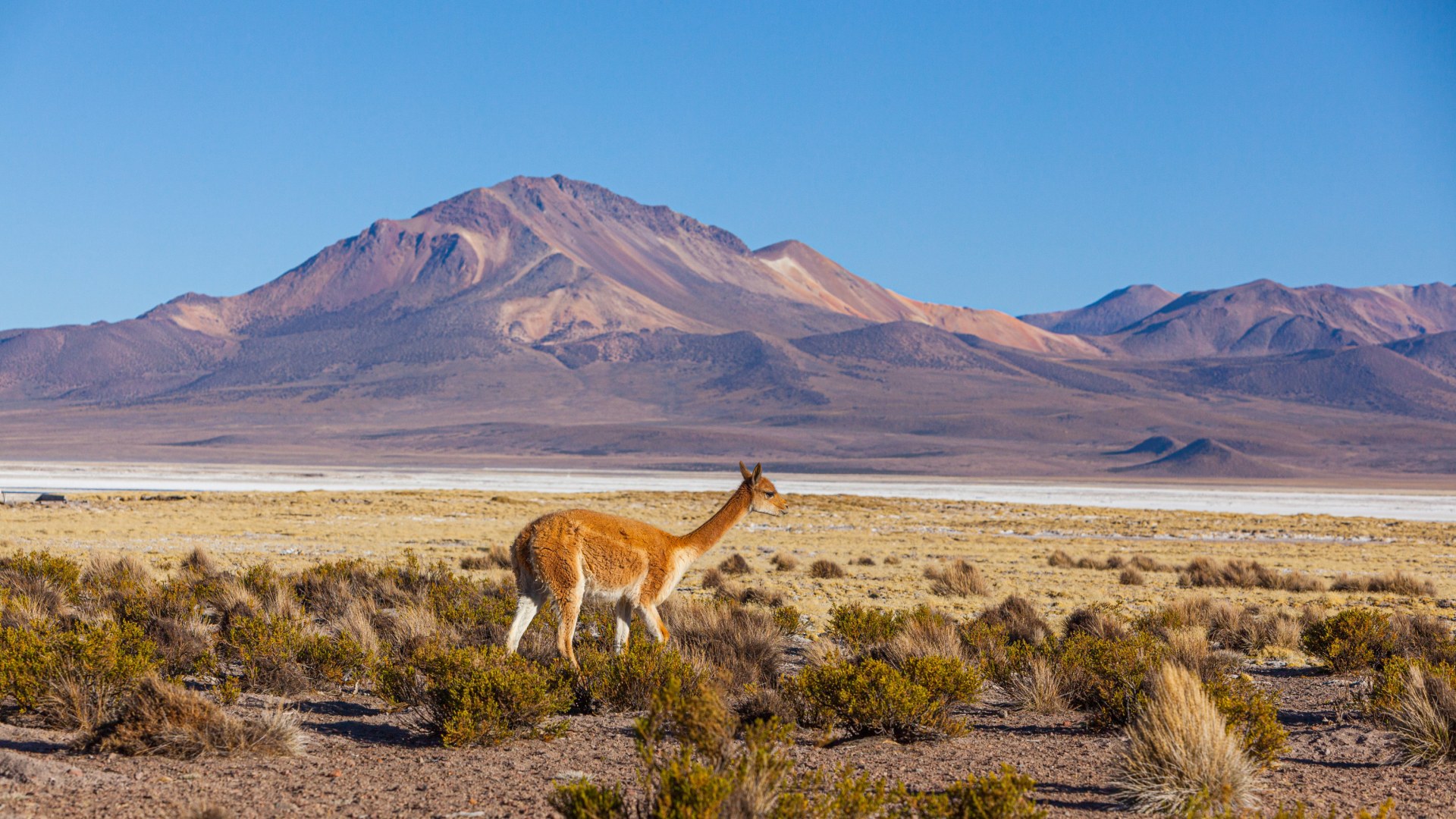 Dem Himmel so nah auf den höchsten Bergen Boliviens