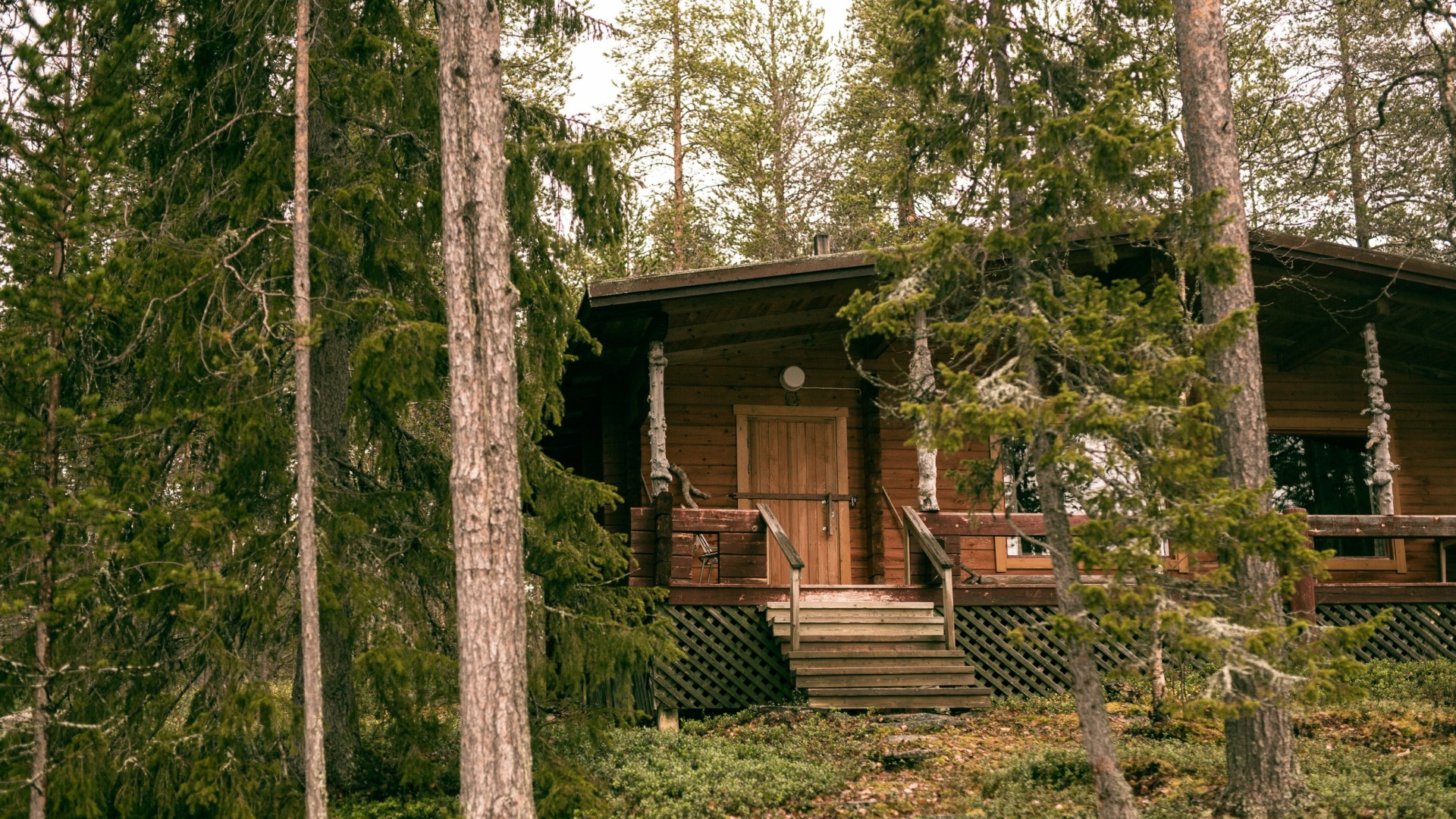 Wildnishütte Sommer