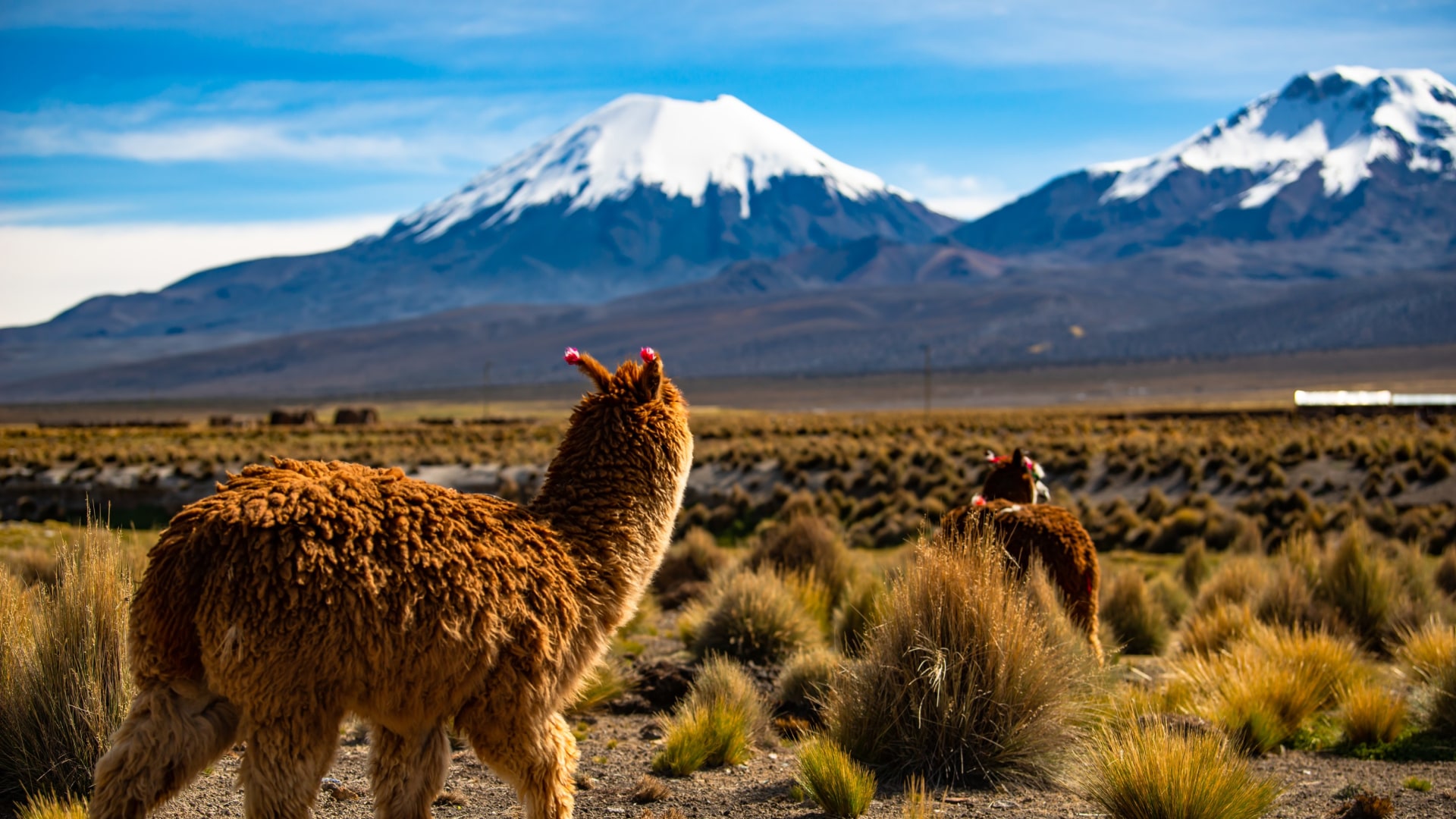 Boliviens schönste Gipfel