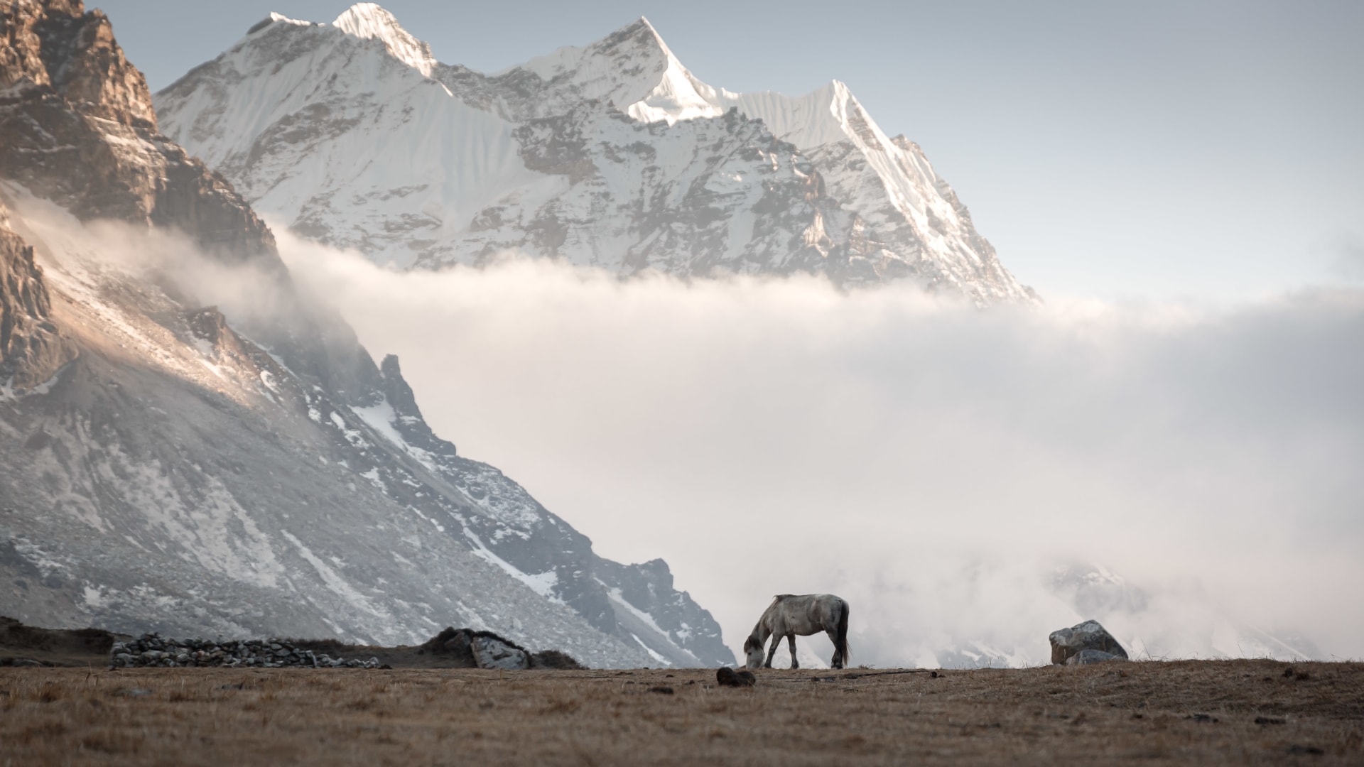 Kangchendzönga Base Camp Trek mit Drohmo Ri East Besteigung (5.958 m)