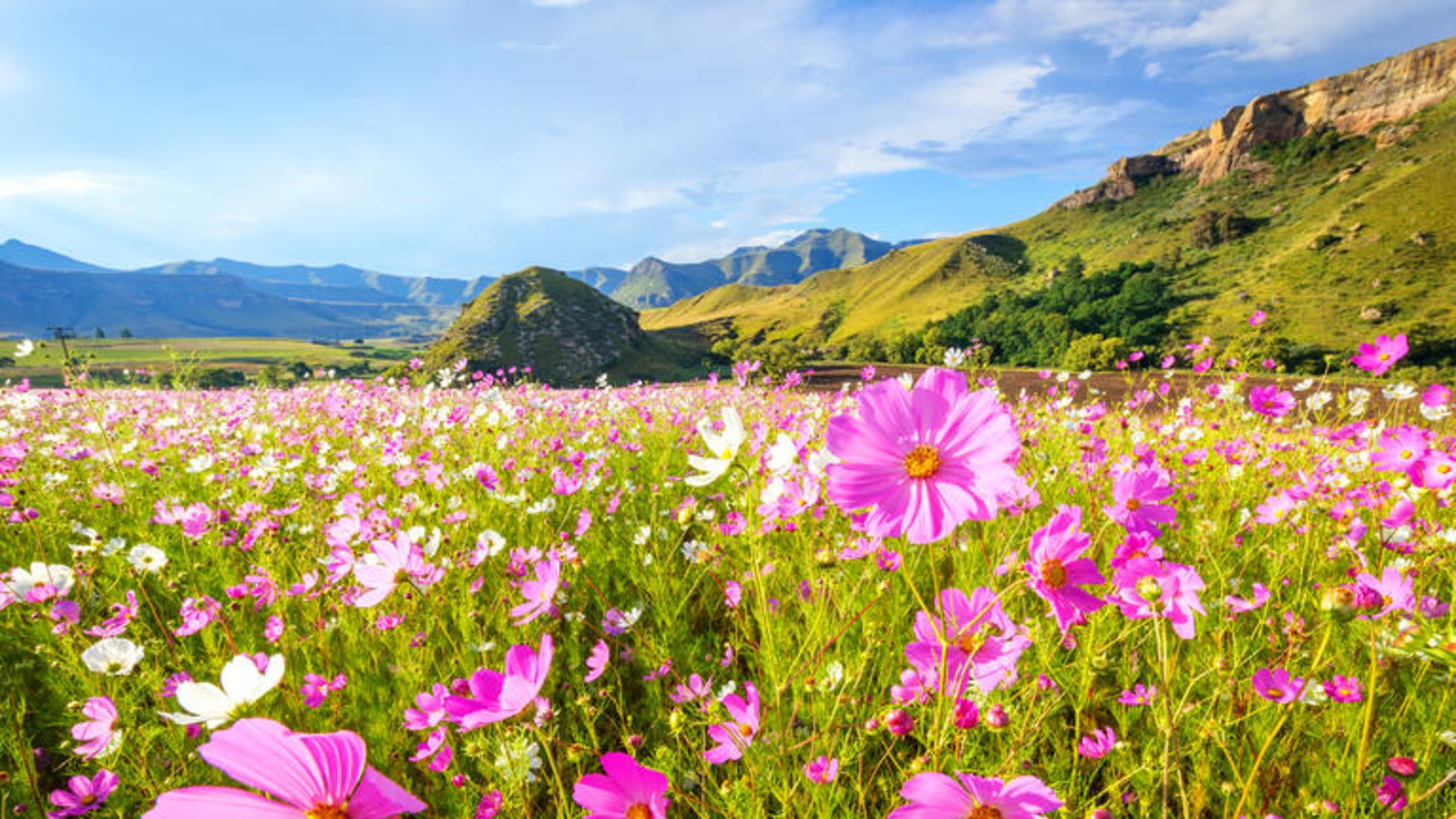 Selbstfahrerreise durch den Südosten Südafrikas & eSwatini