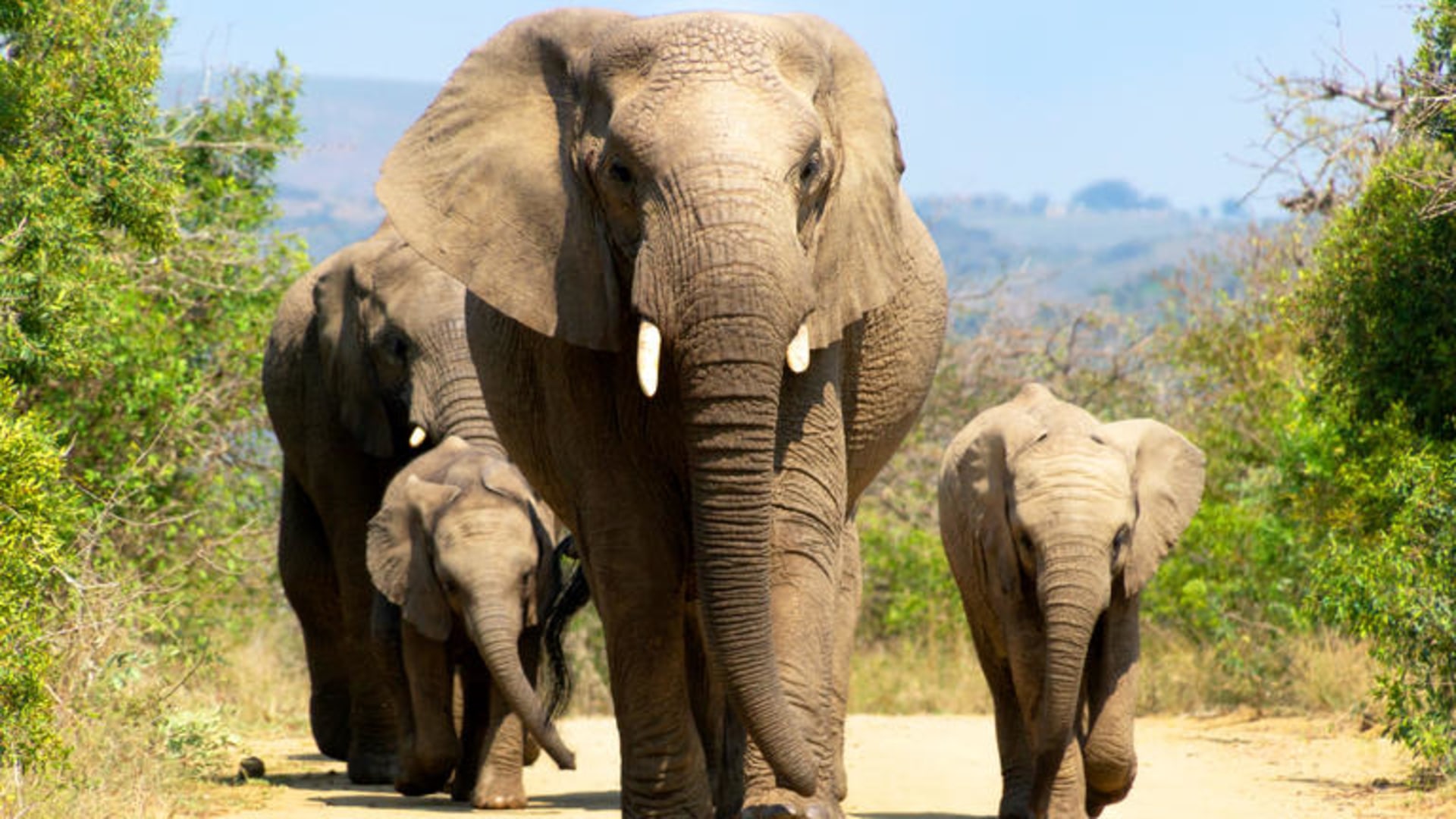 Selbstfahrerreise durch den Südosten Südafrikas & eSwatini