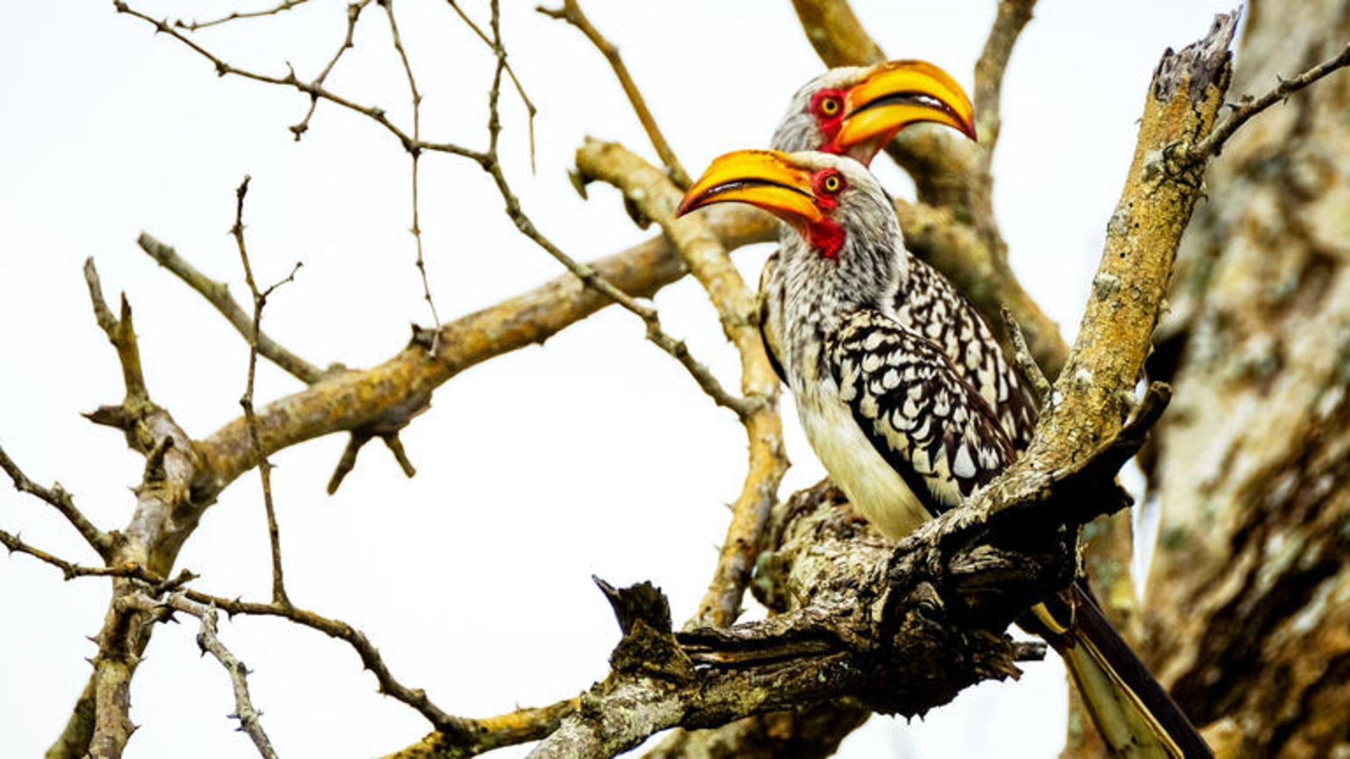 Selbstfahrerreise durch den Südosten Südafrikas & eSwatini