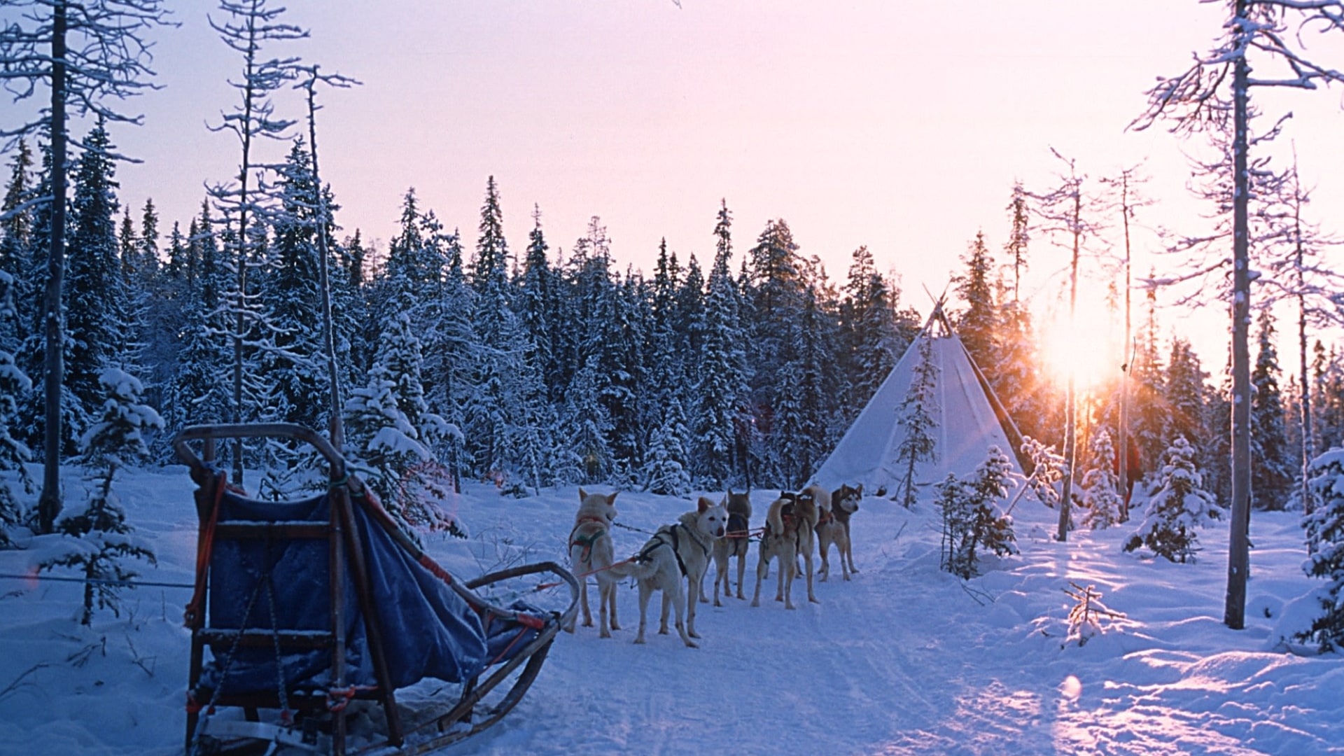 Schneemobil und Huskytour