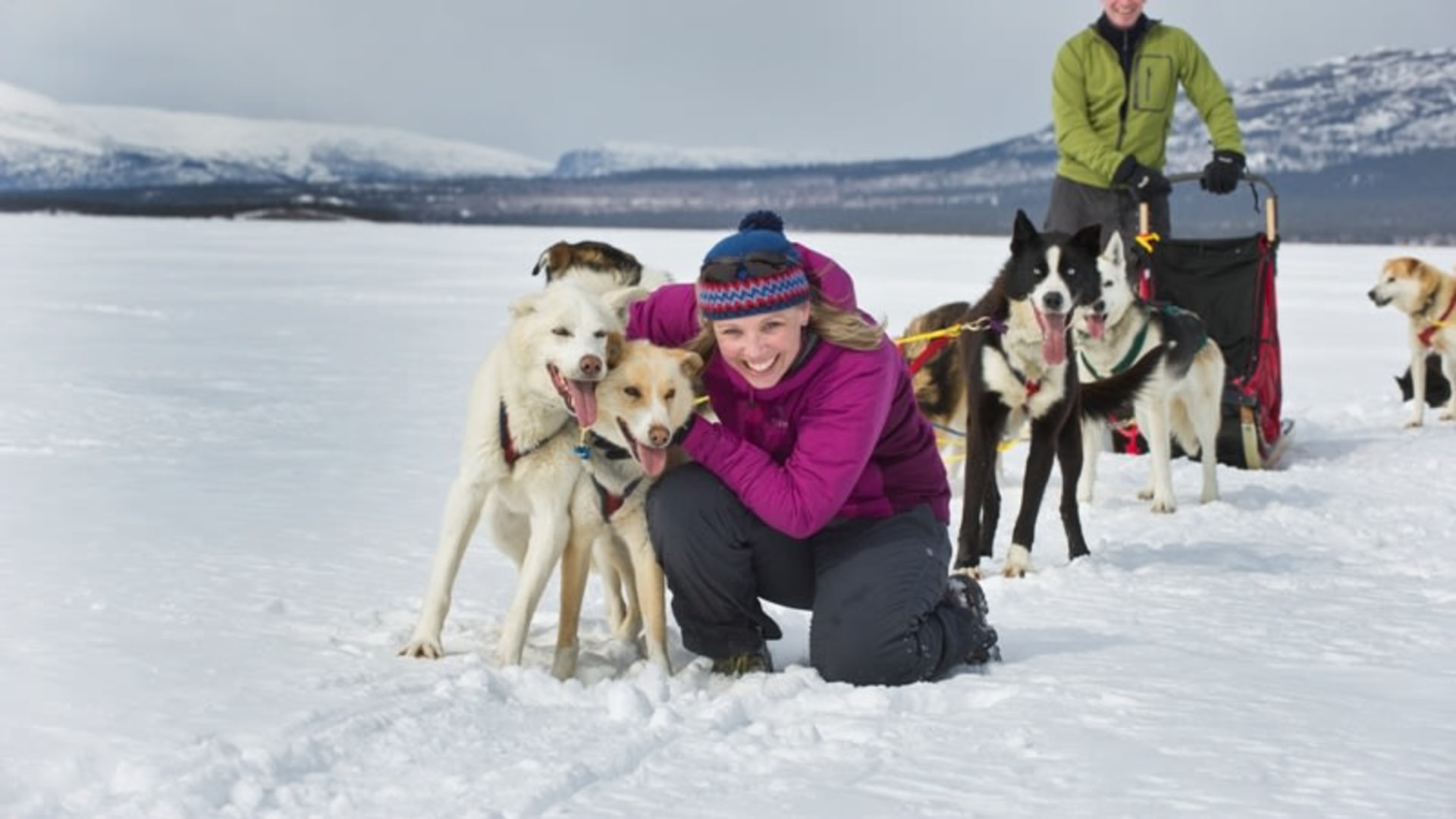 Pause mit den Huksys