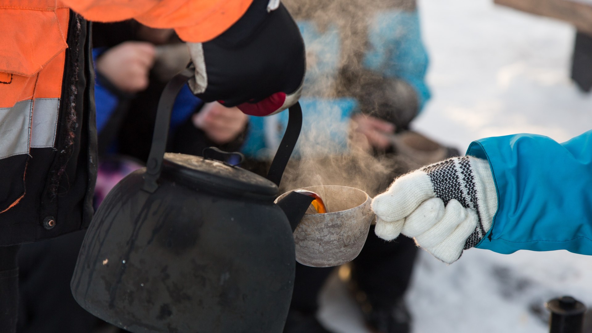 Lunchbreak in der Wildnis