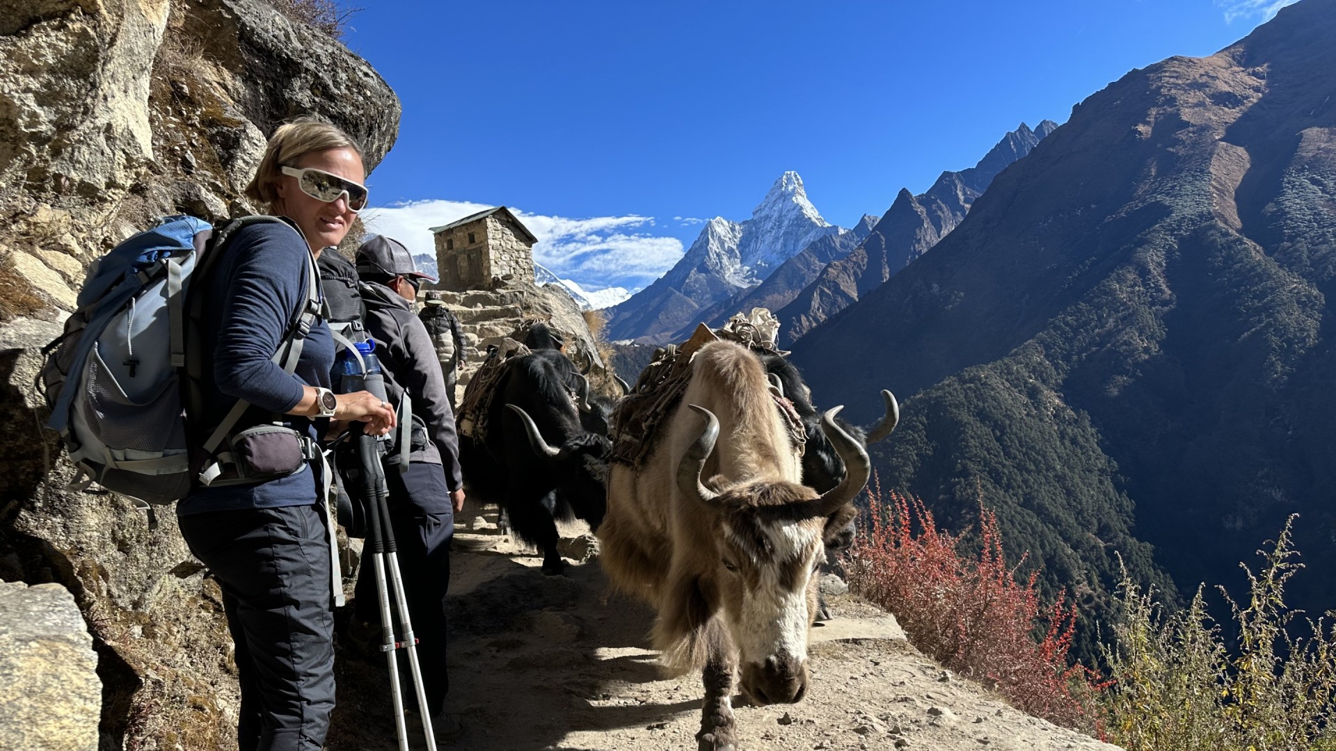 Trekking zum Everest Basislager