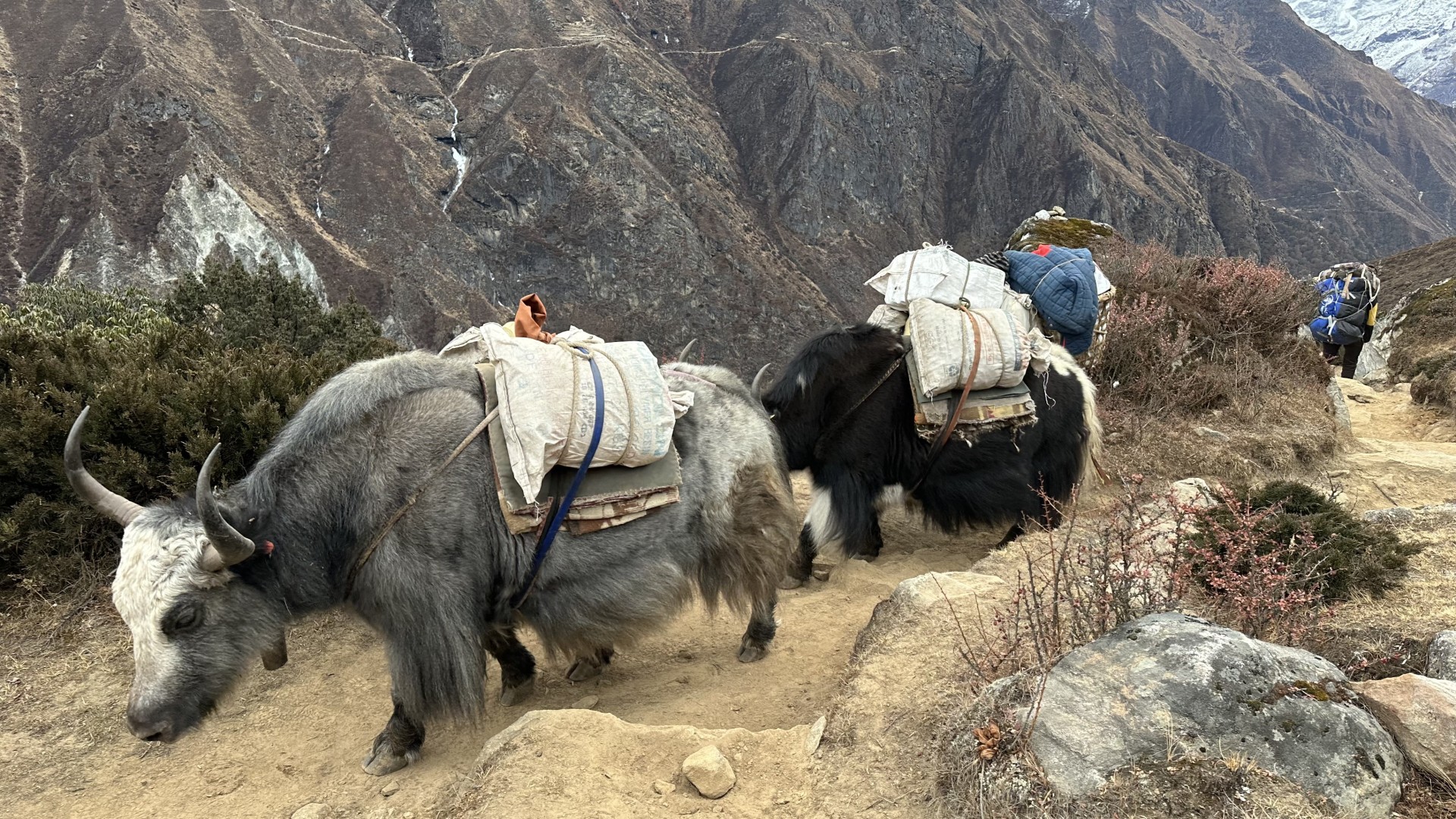 Trekking zum Everest Basislager