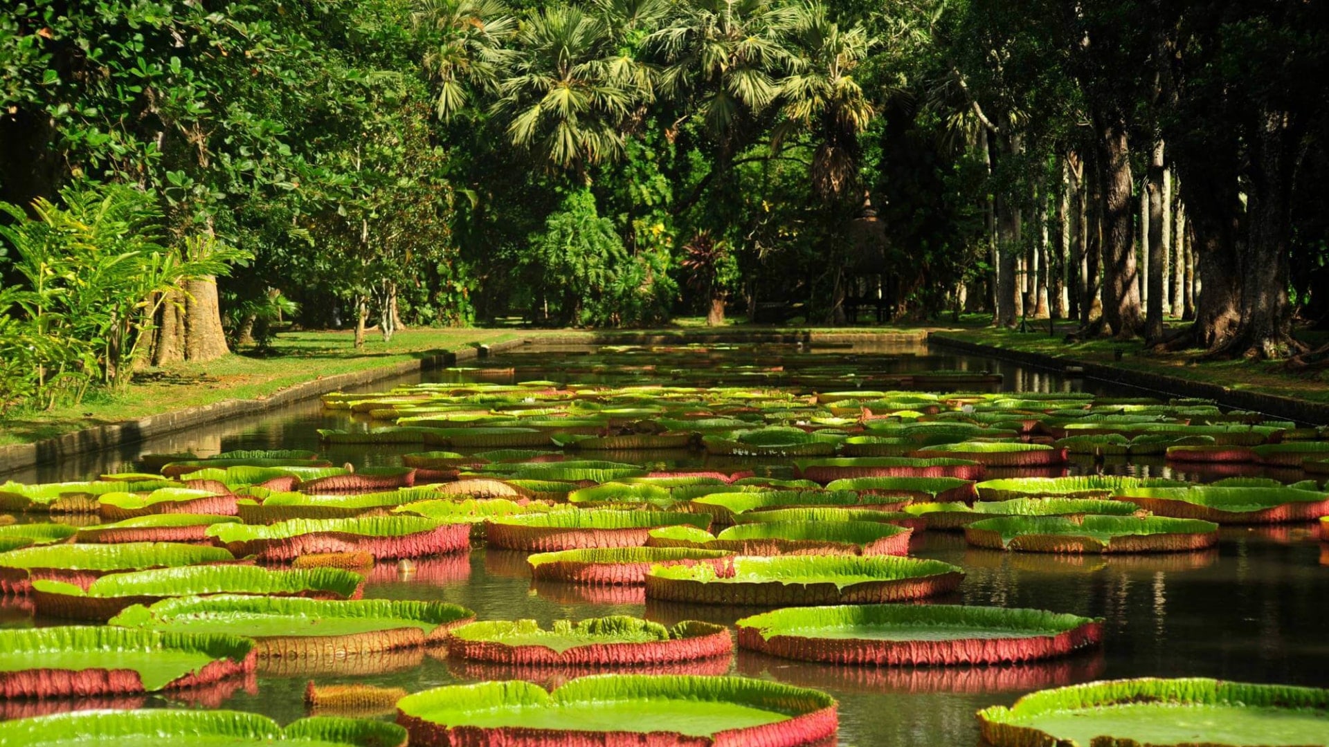 pointe-aux-biches-mauritius-nordwesten-meineweltreisen