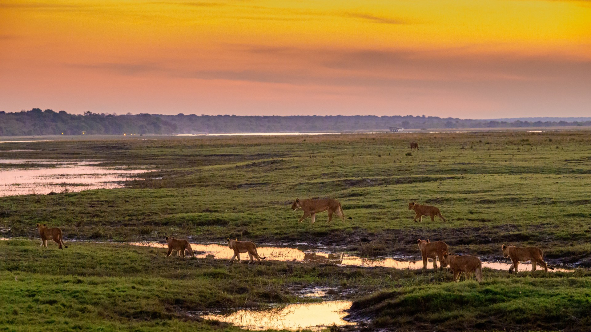 Namibias Naturwunder bis zu den Viktoriafällen