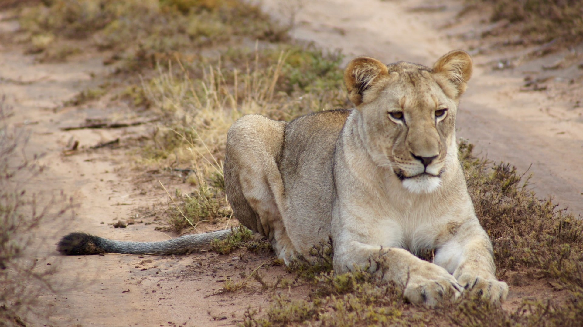 Treffen im Nationalpark