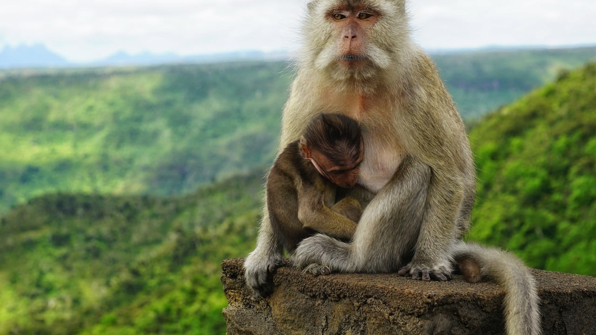 Gruppenreise auf La Réunion und Baden auf Mauritius 