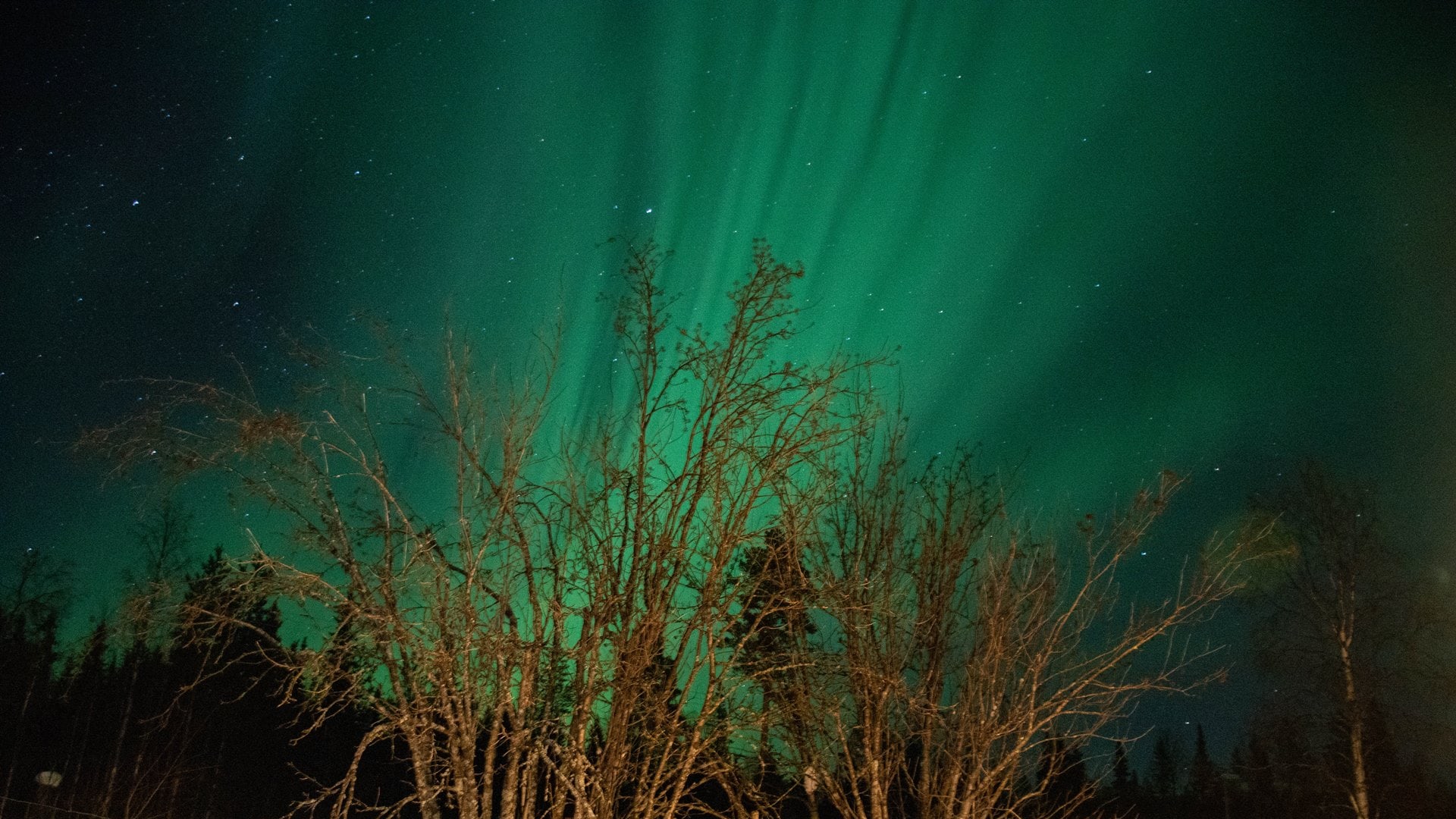 Kurzwoche in Schwedisch Lappland