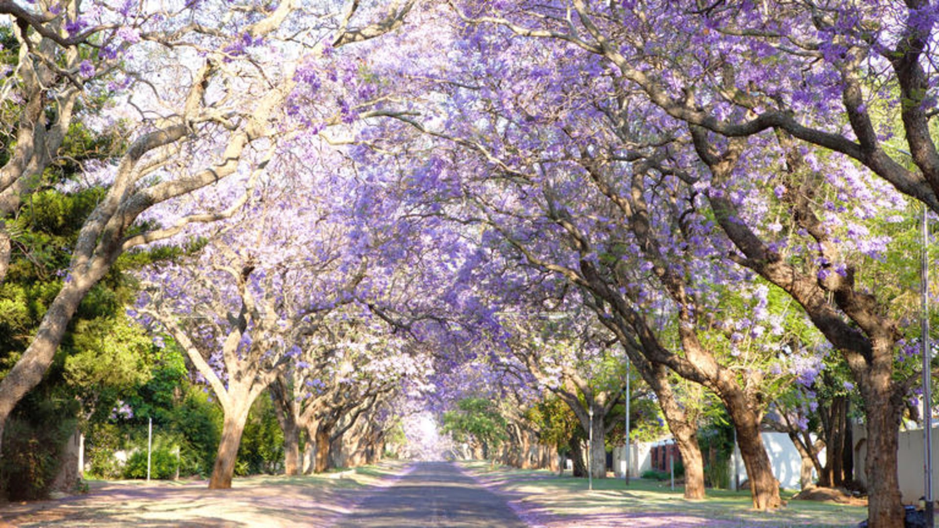 Selbstfahrerreise durch den Südosten Südafrikas & eSwatini