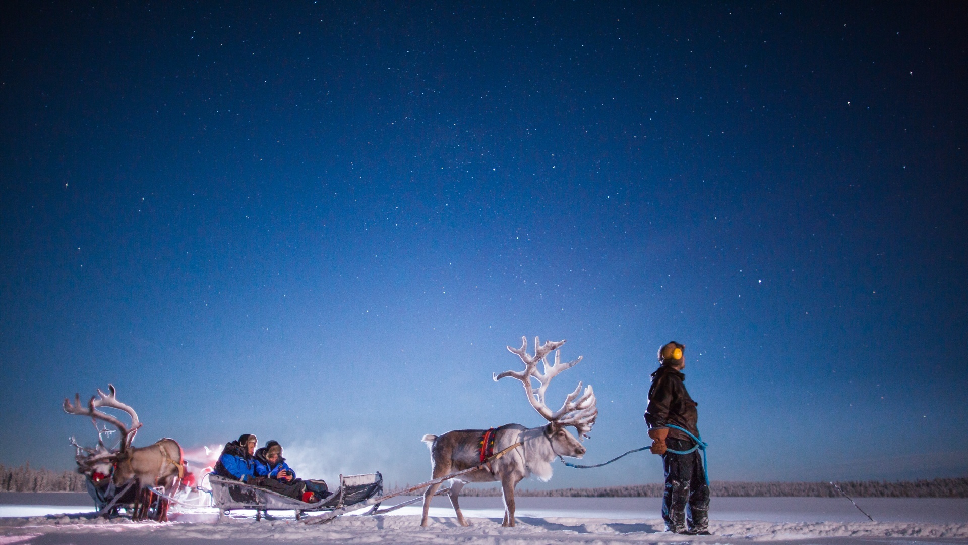 Rentiersafari in der Nacht
