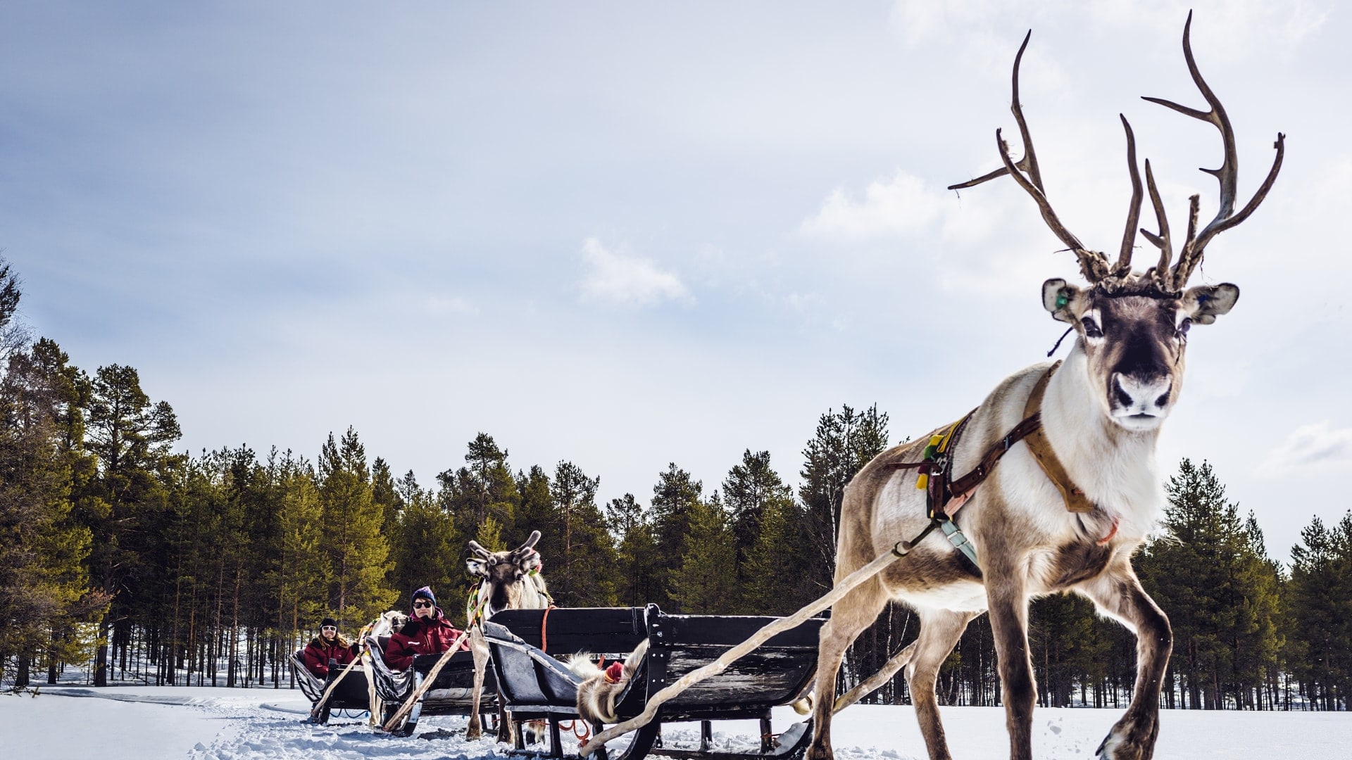 Familien-Tour Lappland