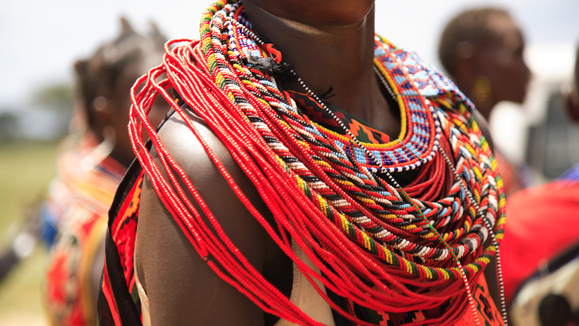 In Kleingruppe durch Tansanias berühmte Safariparks 