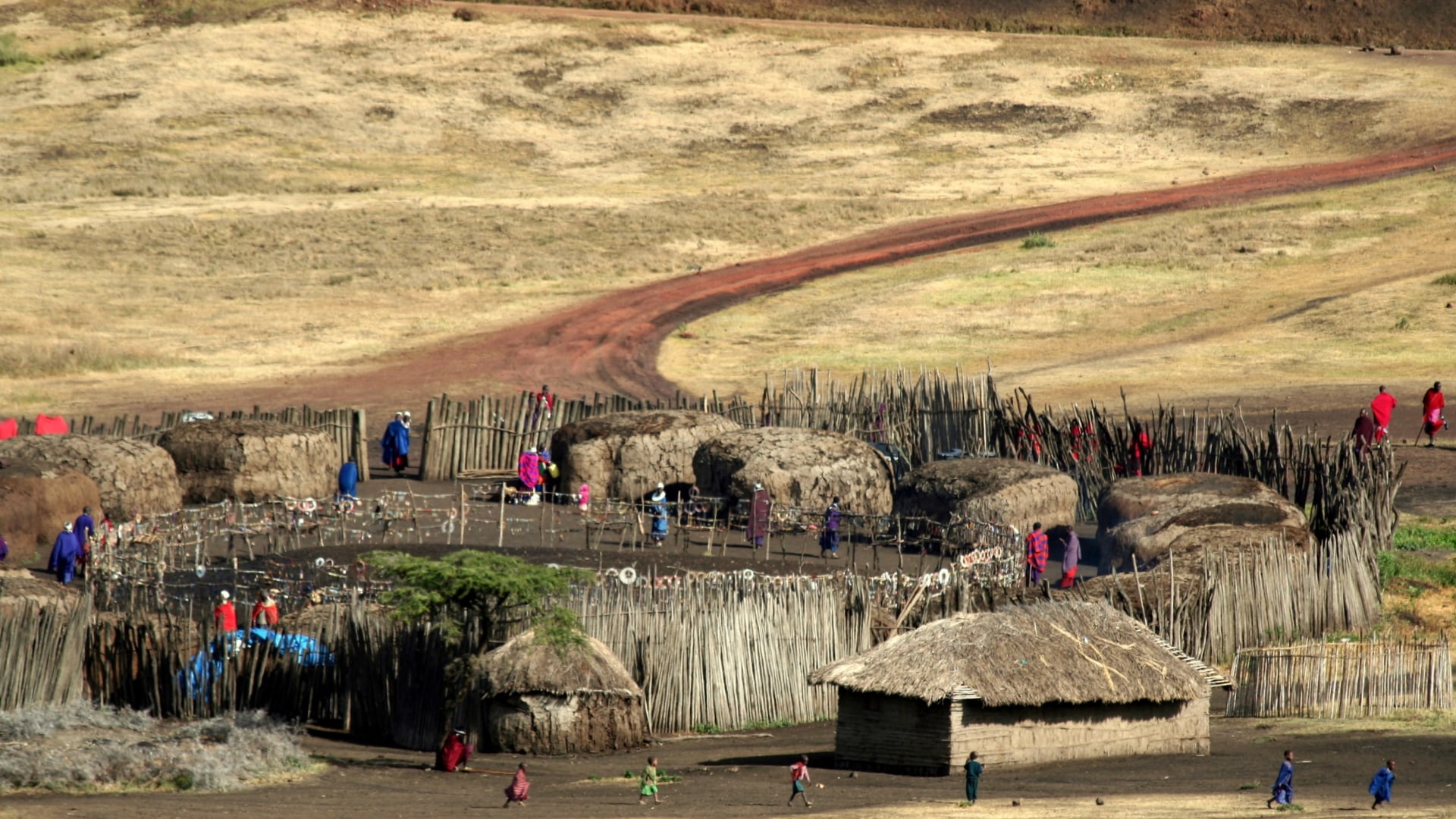 In Kleingruppe durch Tansanias berühmte Safariparks 