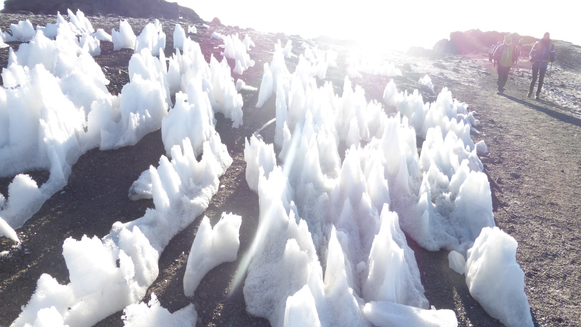 Kilimanjaro Überschreitung von Nord nach Süd
