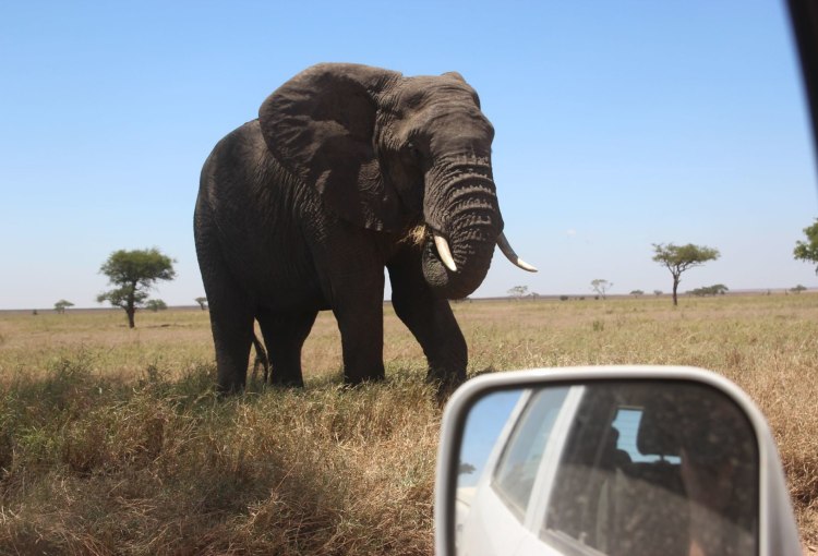 Usambara-Berge und Safari am indischen Ozean